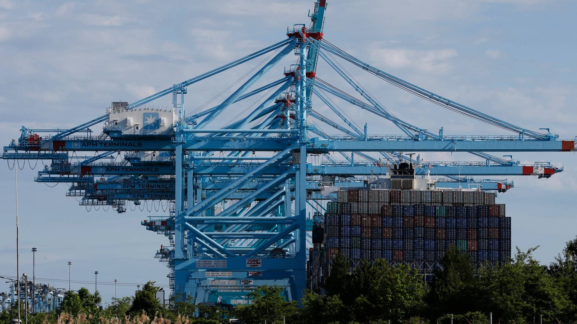 Omkring 70.000 havnearbejdere på den amerikanske østkyst skal have ny overenskomst til september. Mærsks havneselskab APM Terminals driver flere terminaler på østkysten, bl.a. i Virginia. | Foto: Steve Helber/AP/Ritzau Scanpix