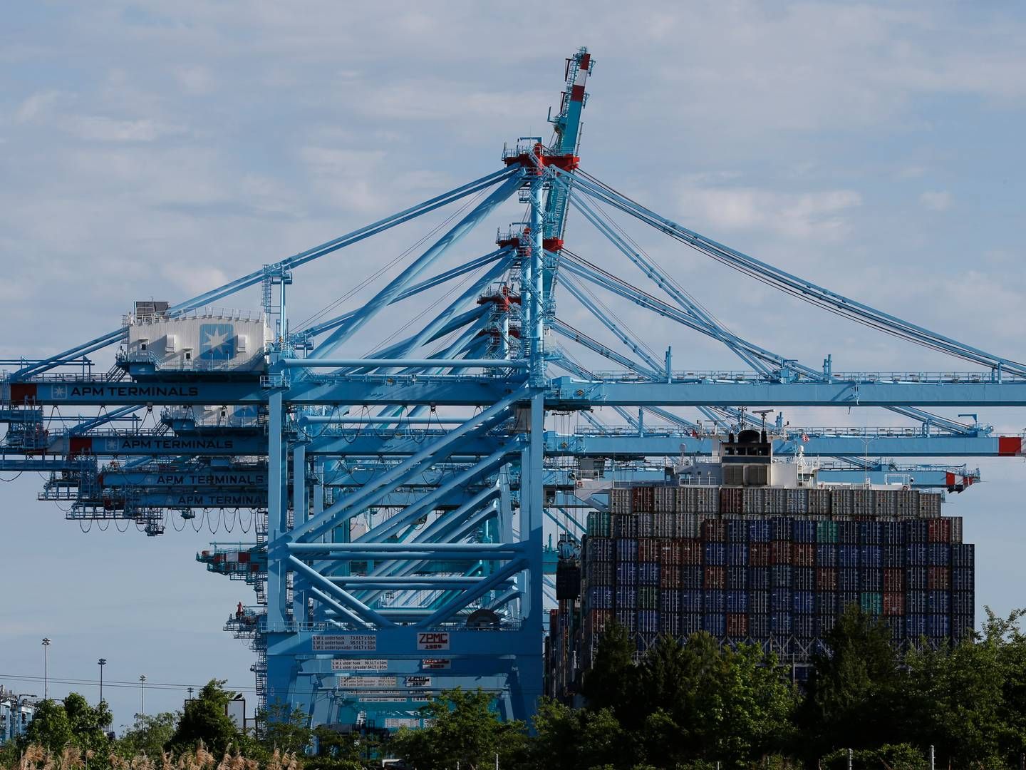 Omkring 70.000 havnearbejdere på den amerikanske østkyst skal have ny overenskomst til september. Mærsks havneselskab APM Terminals driver flere terminaler på østkysten, bl.a. i Virginia. | Foto: Steve Helber/AP/Ritzau Scanpix