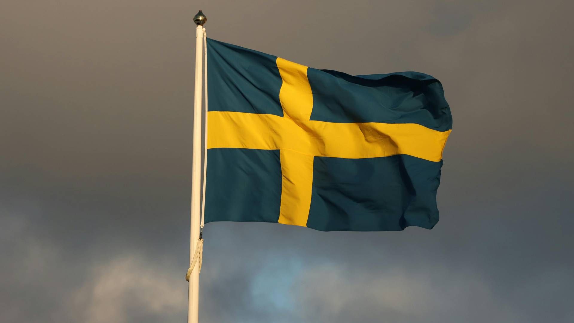 Sverige er blevet et vigtigere marked for Nrep, lød det sidste år fra Nrep-direktør Jani Nokkanen. | Foto: Pexels