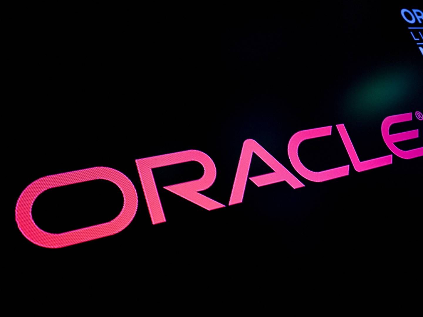 Oracles aktikurs steg i tirsdagens eftermarked i USA med 8,2 pct. | Foto: Brendan Mcdermid/Reuters/Ritzau Scanpix