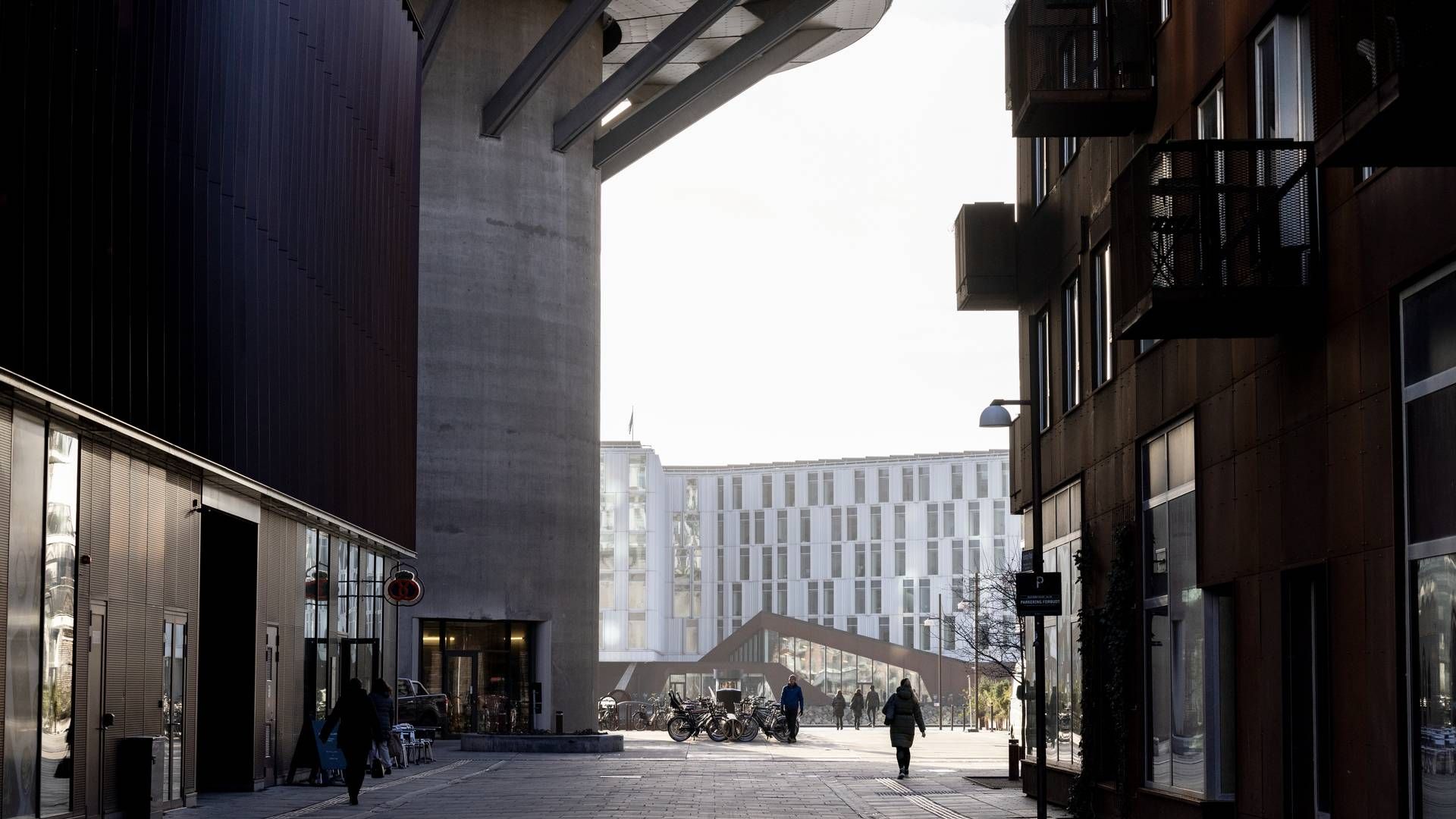 Trifork rykkede sidste år ind i nyopførte lokaler i den næsten lige så nybyggede bydel Nordhavn (billede) i det nordlige København | Foto: Mads Nissen