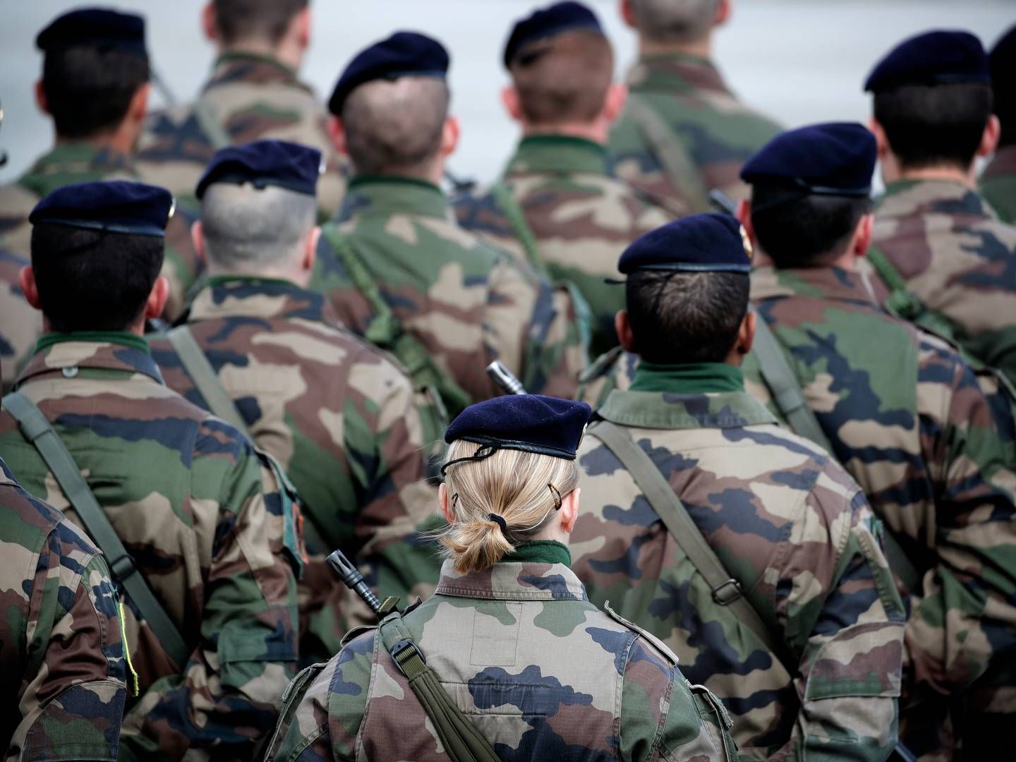 If the Danish Armed Forces terminates its criticized agreement with Scan Global, there is a risk that the logistics company will file a lawsuit against the Danish Ministry of Defence Acquisition and Logistics Organisation (DALO), according to an internal document sent to the ministry of defense. | Foto: Jens Dresling/Politiken/Ritzau Scanpix