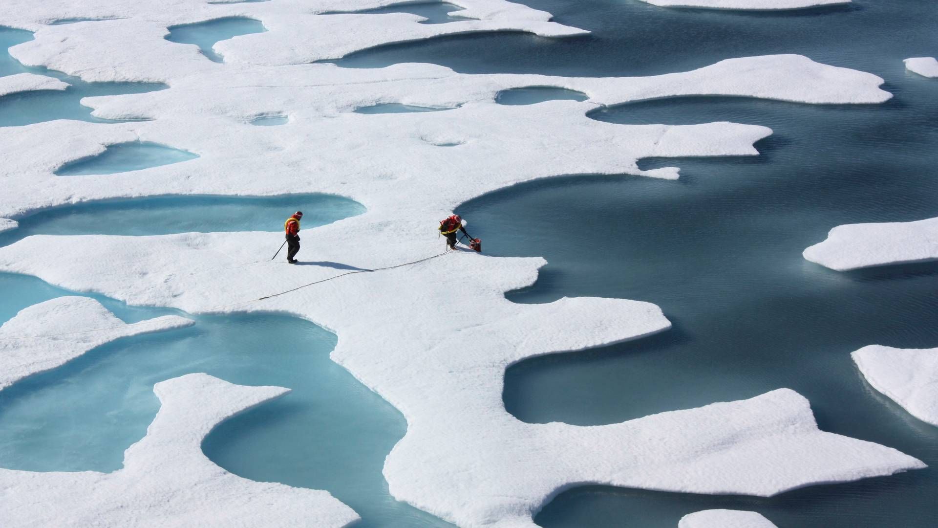 Nordatlanten har NJC's fokus på grund af kombinationen af øget opmærksomhed på Arktis og krise i mediebrancherne på Grønland såvel som Island og Færøerne, siger NJC's daglige leder. | Foto: Nasa/Reuters/Ritzau Scanpix