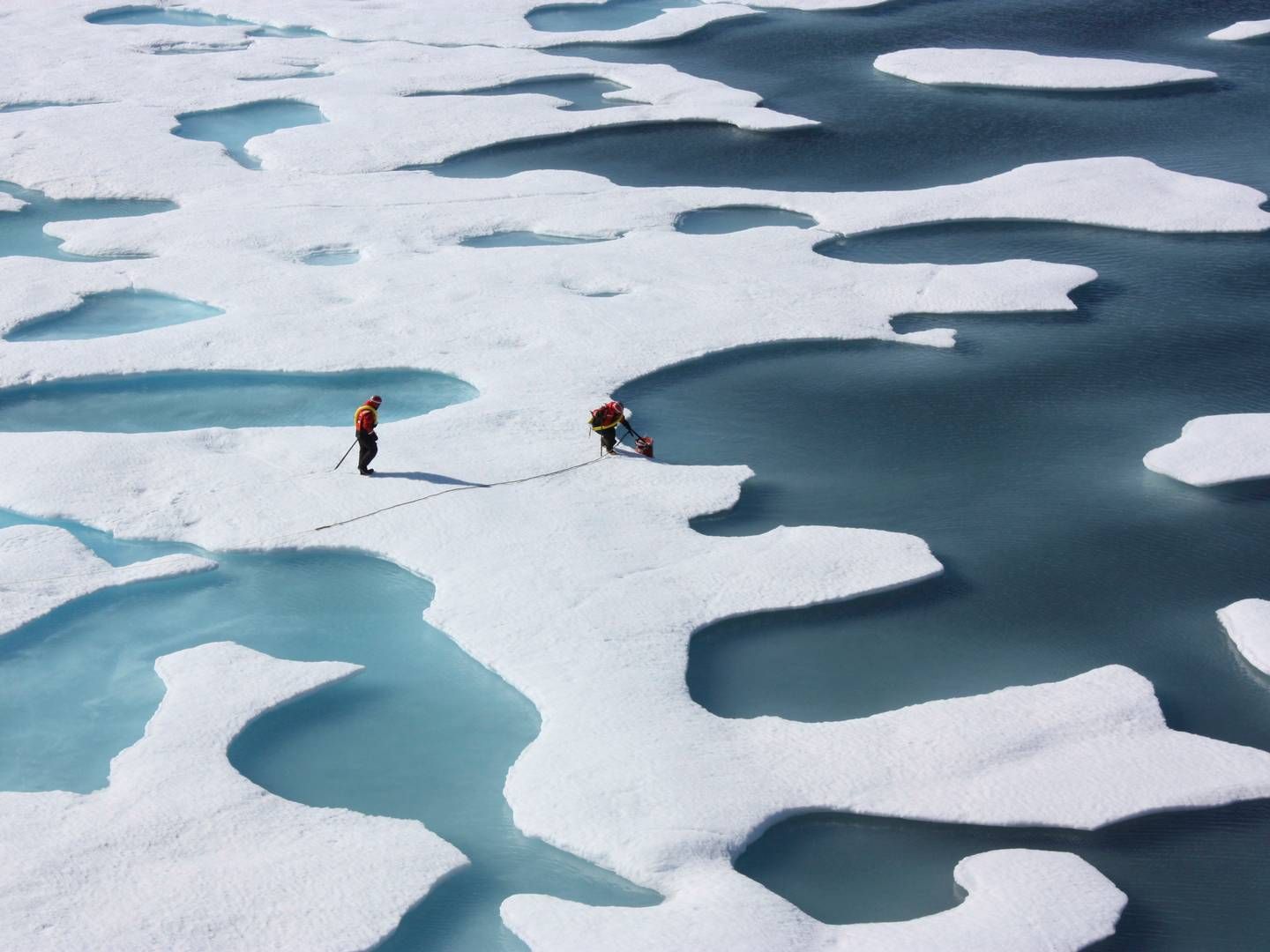 Nordatlanten har NJC's fokus på grund af kombinationen af øget opmærksomhed på Arktis og krise i mediebrancherne på Grønland såvel som Island og Færøerne, siger NJC's daglige leder. | Foto: Nasa/Reuters/Ritzau Scanpix