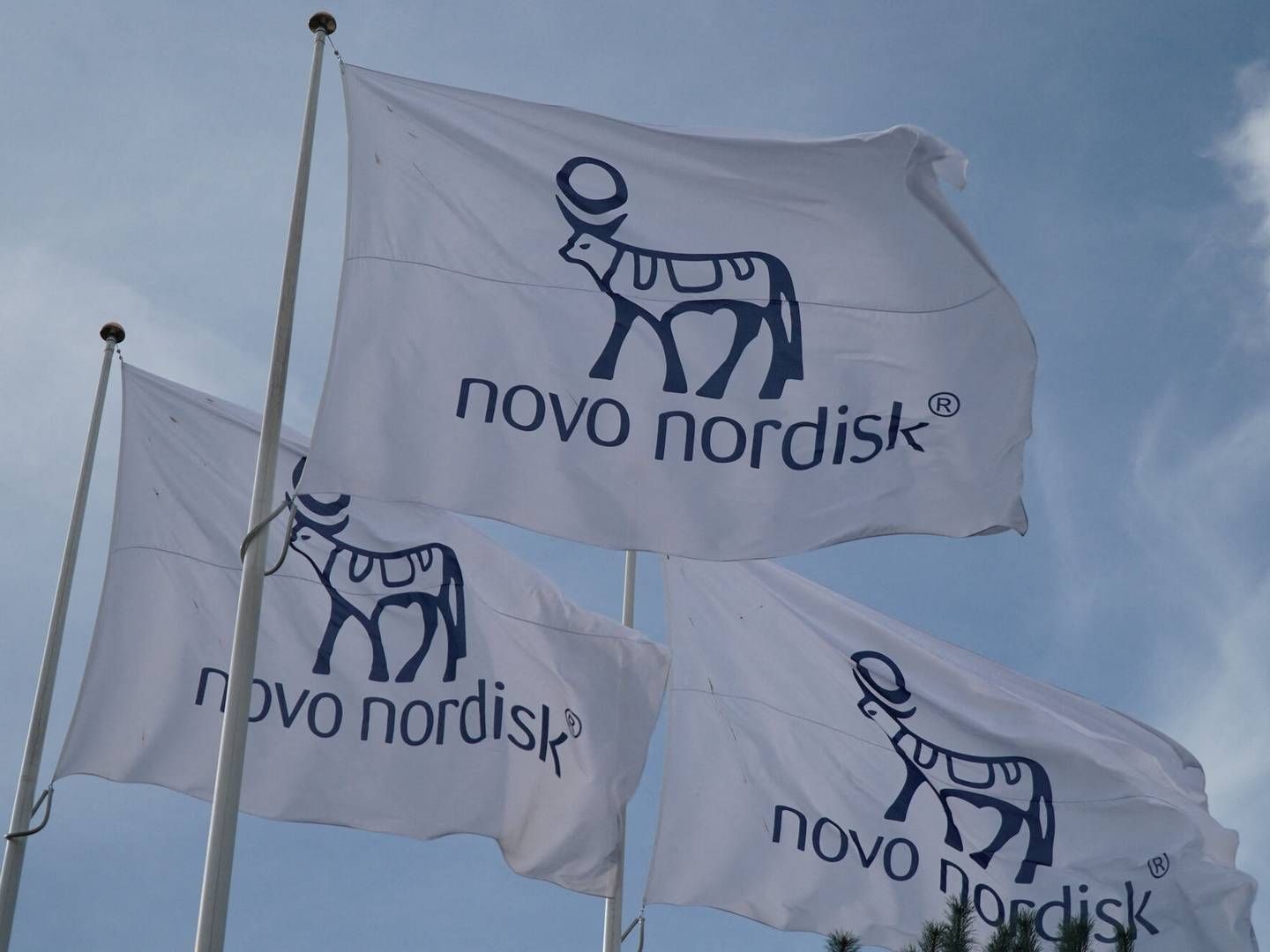 Novo Nordisk-koncernens brandværdi er steget med ikke mindre end 59 pct., og de er nu Danmarks næststærkeste varemærke. | Photo: Tom Little/Reuters/Ritzau Scanpix