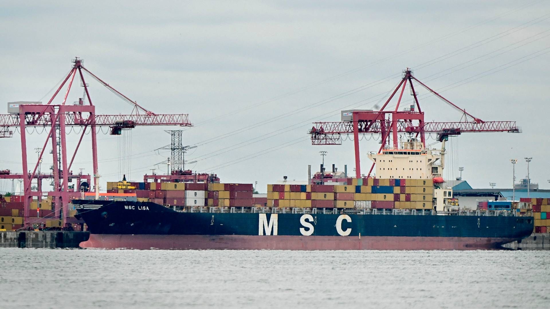 Et andet skib fra containerrederiet MSC. Arkivfoto. | Foto: Graham Hughes/AFP/Ritzau Scanpix