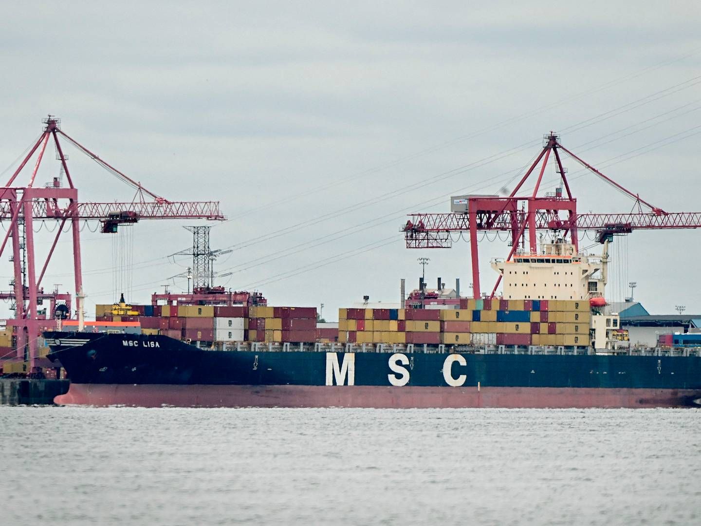 Another ship from container shipping company MSC. File photo. | Foto: Graham Hughes/AFP/Ritzau Scanpix