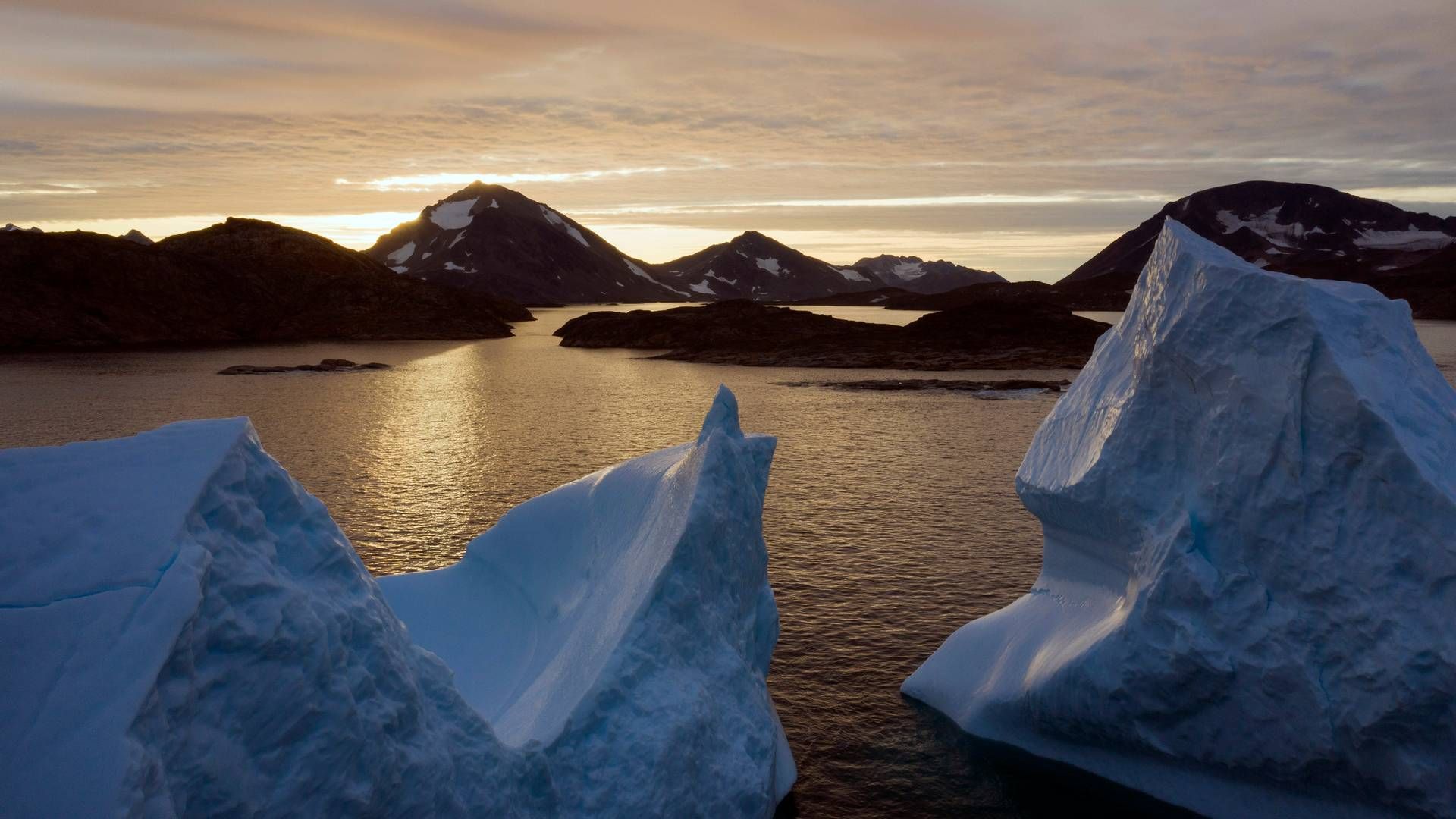 Grønlands fiskeindustri har været på tæerne det seneste lange stykke tid i forhold til landets nye fiskerilov, der ændrer på kvotefordelingen, som ikke mindst kunne ramme fiskekoncernen Royal Greenland, der er ejet af Hjemmestyret. | Foto: Felipe Dana/AP/Ritzau Scanpix