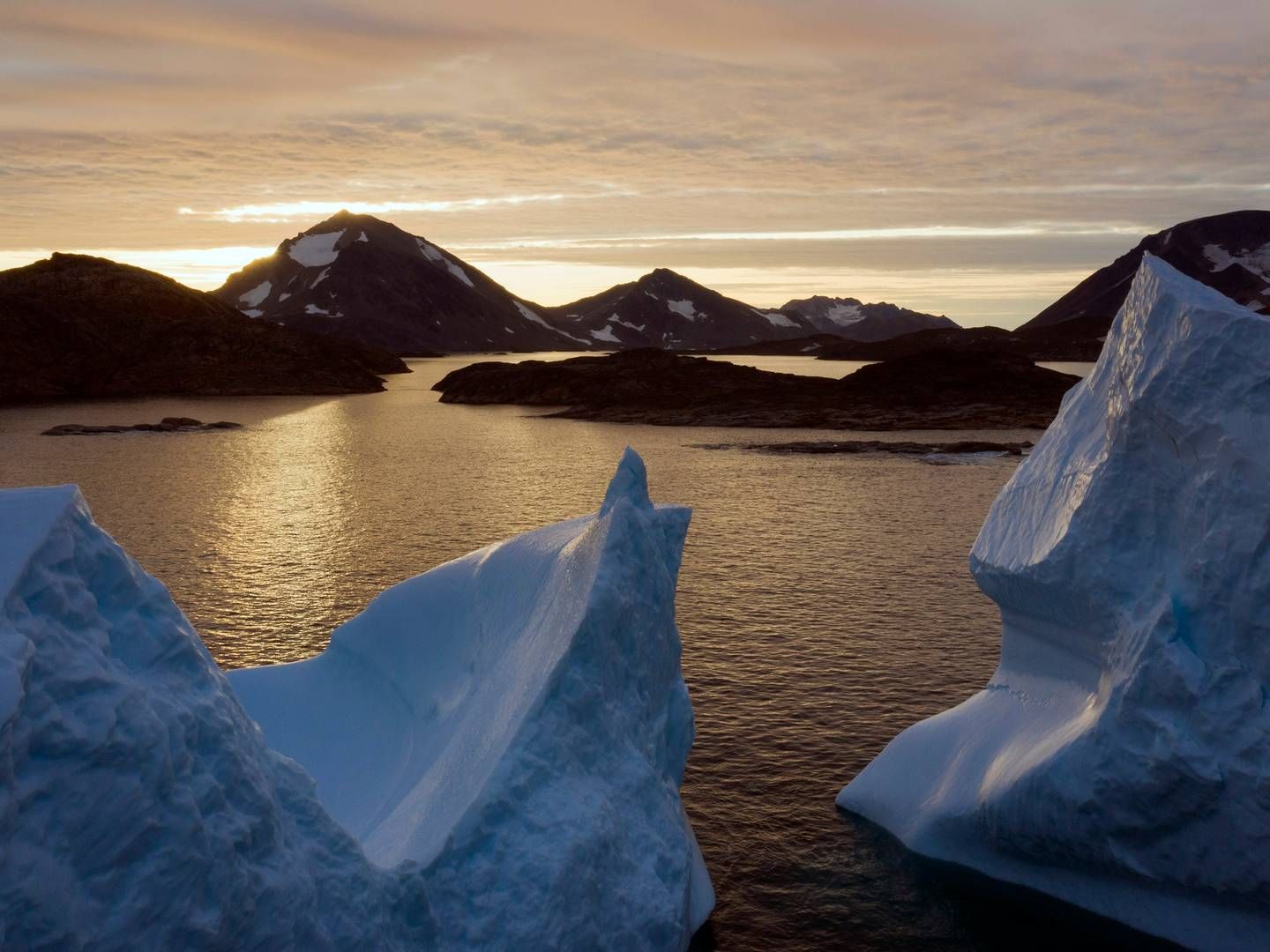 Grønlands fiskeindustri har været på tæerne det seneste lange stykke tid i forhold til landets nye fiskerilov, der ændrer på kvotefordelingen, som ikke mindst kunne ramme fiskekoncernen Royal Greenland, der er ejet af Hjemmestyret. | Photo: Felipe Dana/AP/Ritzau Scanpix
