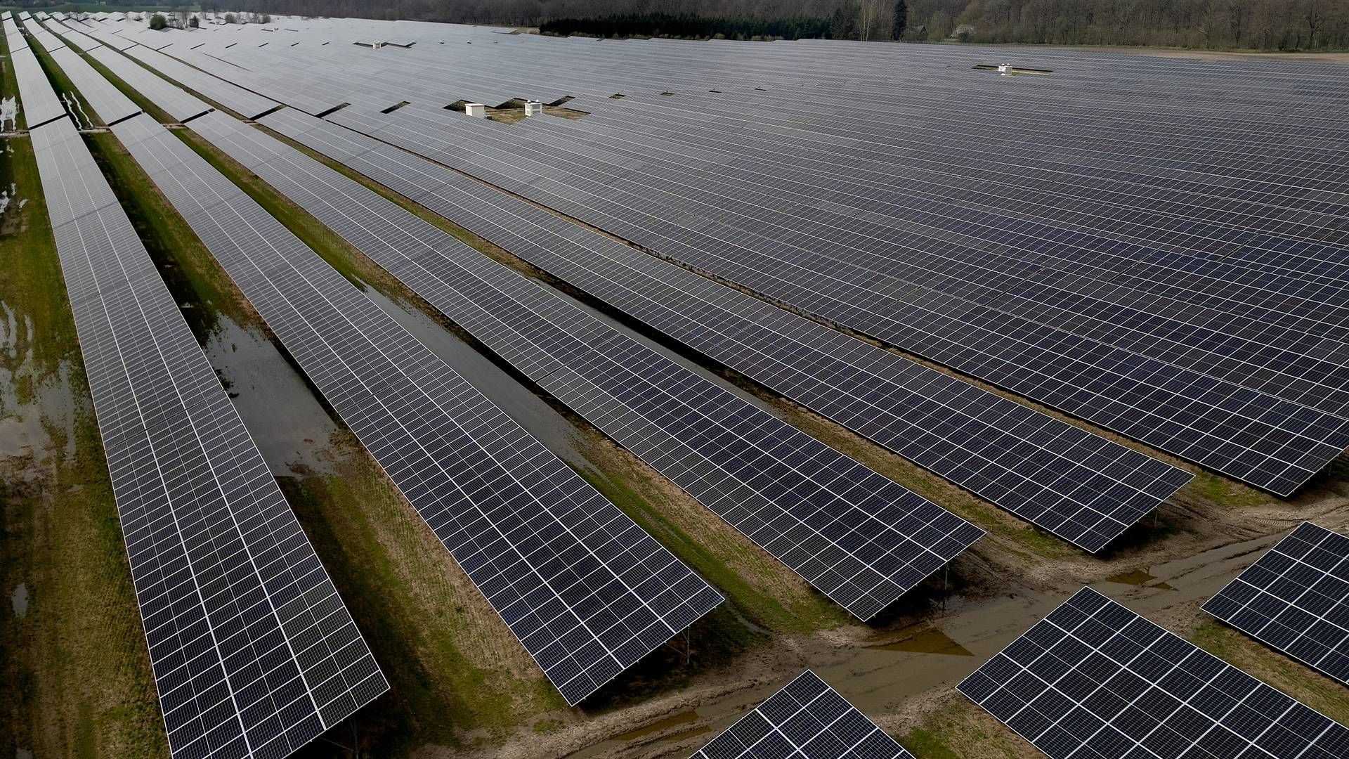Arkivfoto af solcelleanlæg ved Haslev. Glentras fokus er vækstfirmaer, der opererer inden for alt fra sol og vind til biobrændstoffer. | Foto: Finn Frandsen