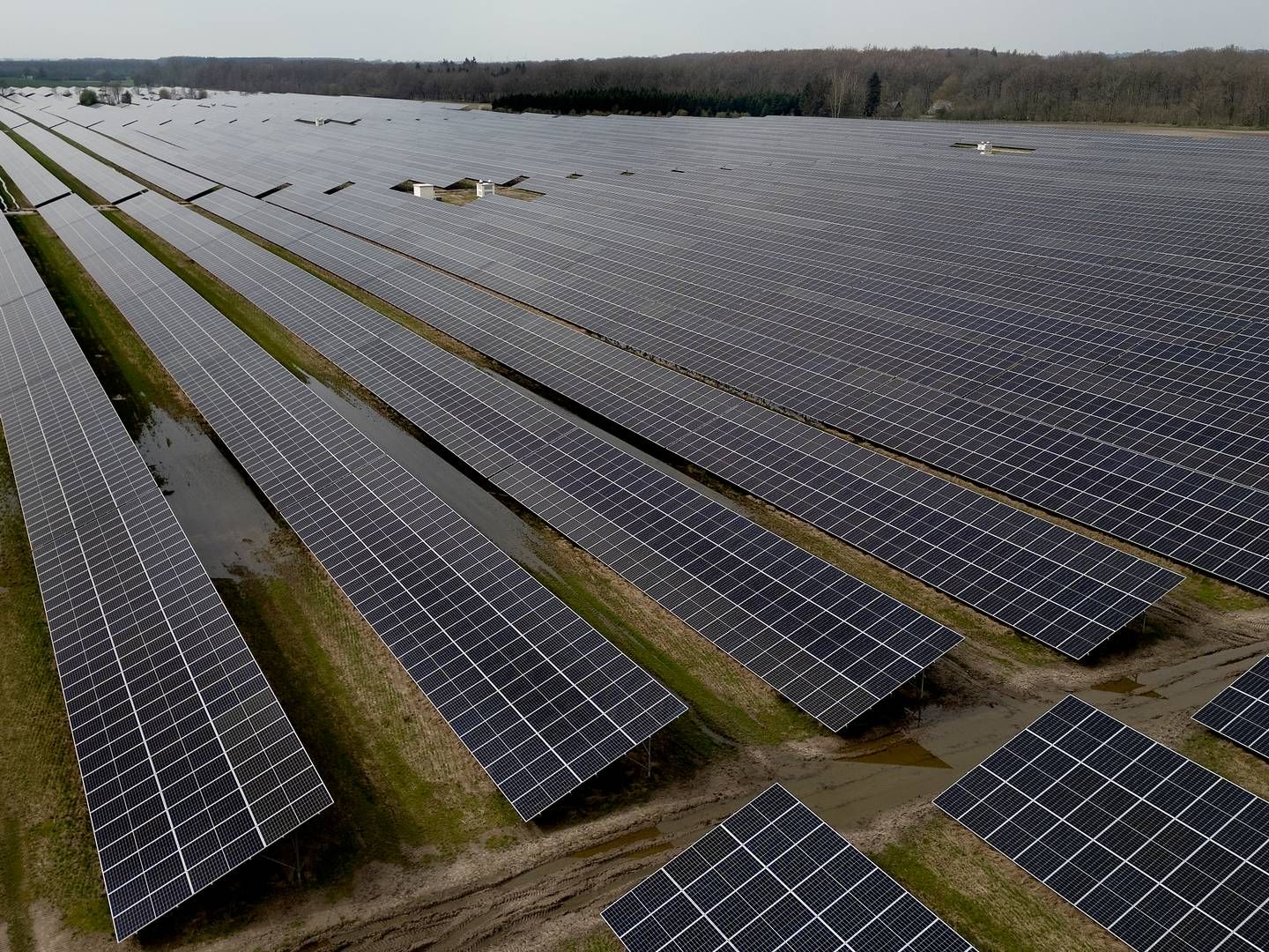 Arkivfoto af solcelleanlæg ved Haslev. Glentras fokus er vækstfirmaer, der opererer inden for alt fra sol og vind til biobrændstoffer. | Foto: Finn Frandsen