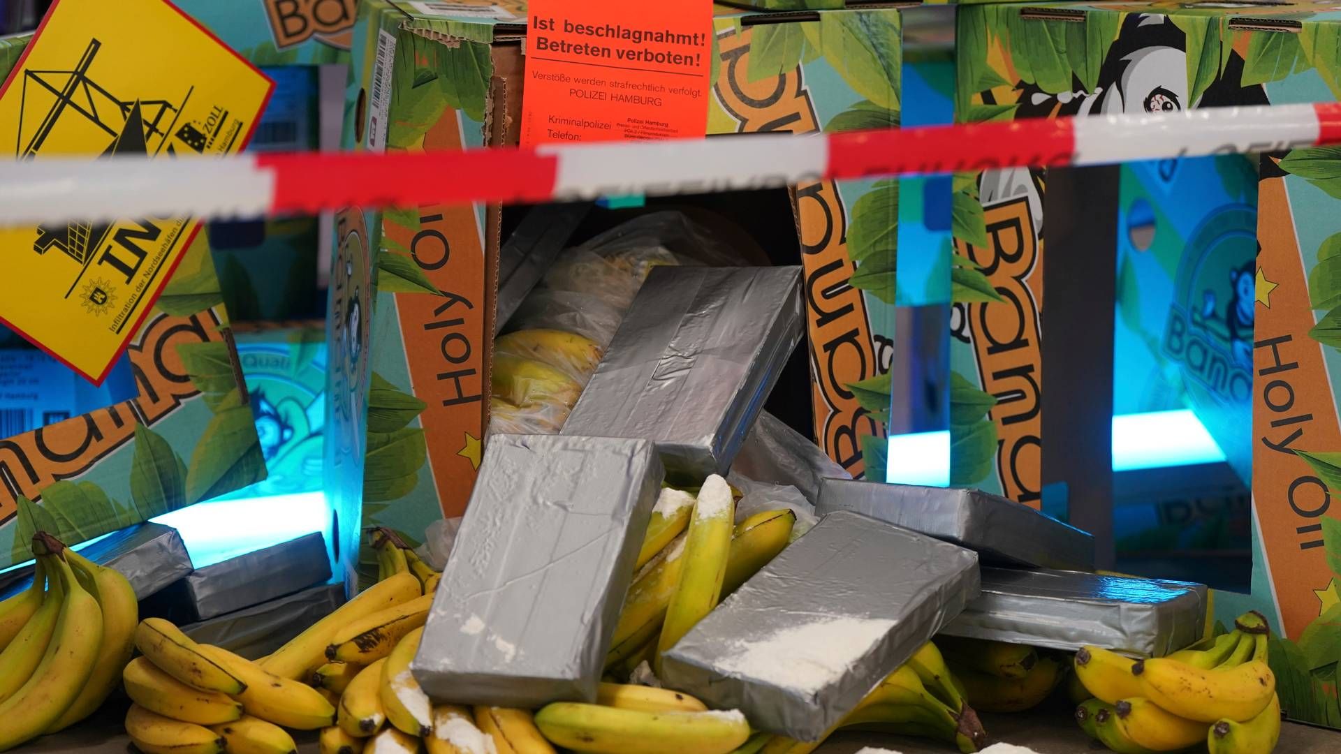 Anonyme grå pakker blandt bananer - foto fra en kampagne for at skabe opmærksomhed om narkosmugling blandt tyske havnearbejdere. | Foto: Marcus Brandt/AP/Ritzau Scanpix