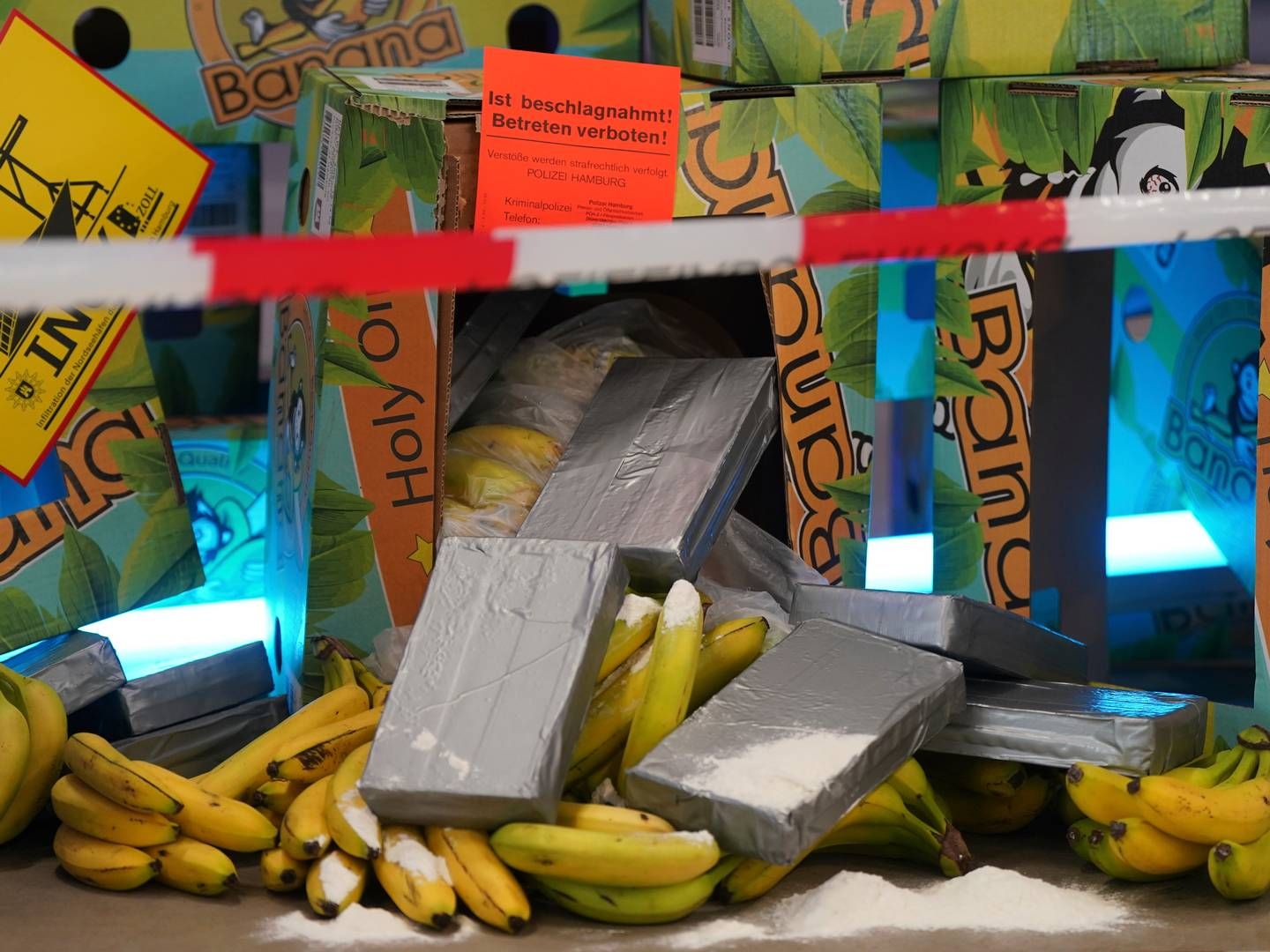 Anonyme grå pakker blandt bananer - foto fra en kampagne for at skabe opmærksomhed om narkosmugling blandt tyske havnearbejdere. | Foto: Marcus Brandt/AP/Ritzau Scanpix