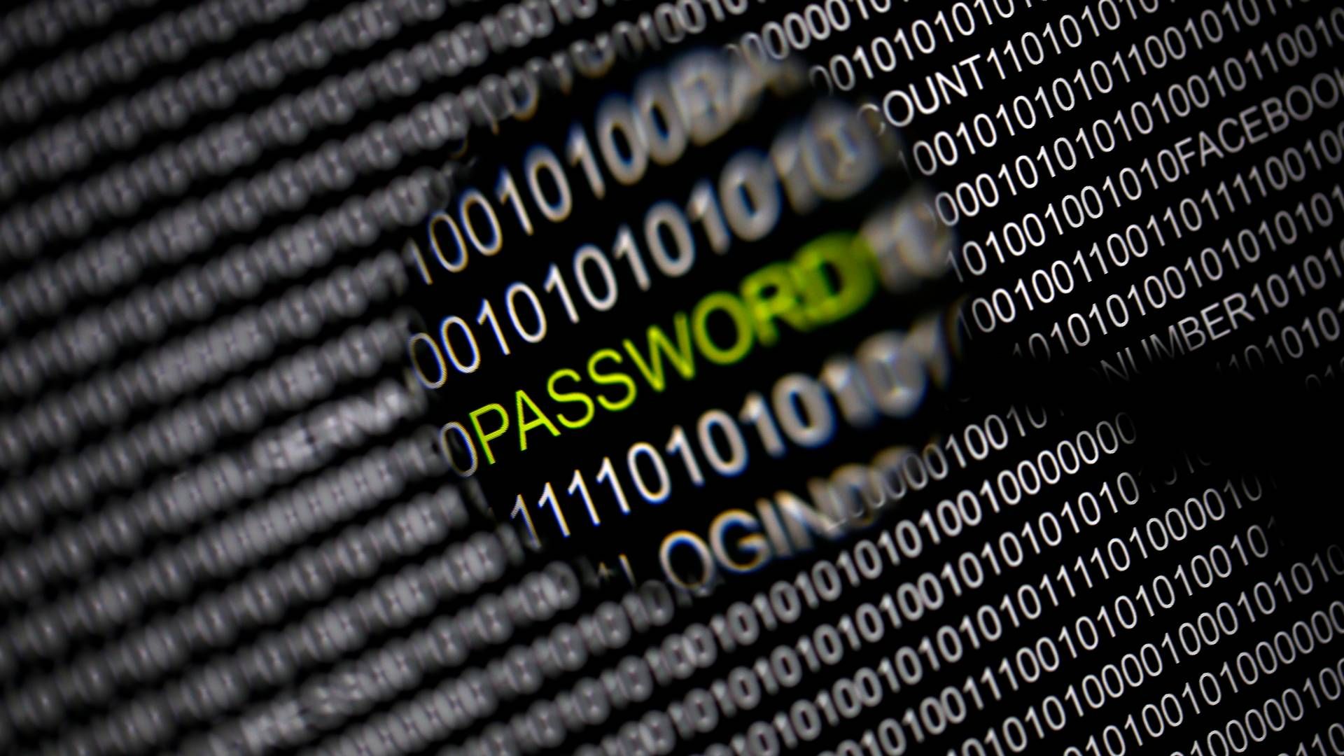 Russiske hackerangreb på virksomheder i Vesten er steget markant, siden Rusland invaderede Ukraine. | Foto: Pawel Kopczynski/Reuters/Ritzau Scanpix