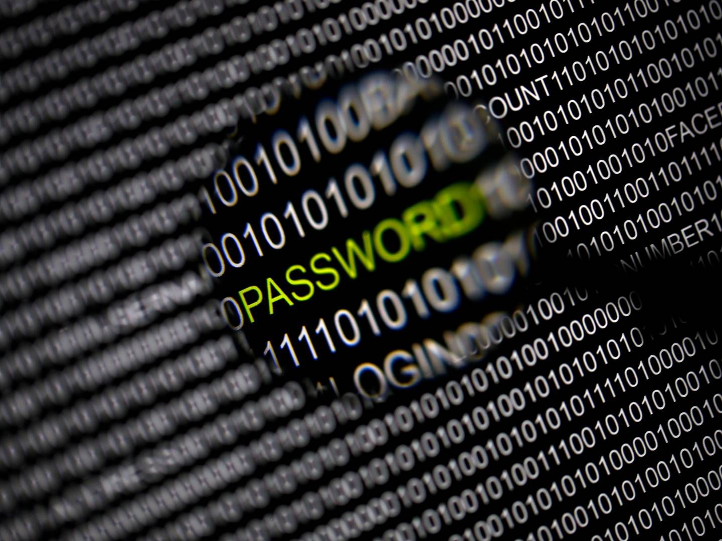 Russiske hackerangreb på virksomheder i Vesten er steget markant, siden Rusland invaderede Ukraine. | Foto: Pawel Kopczynski/Reuters/Ritzau Scanpix