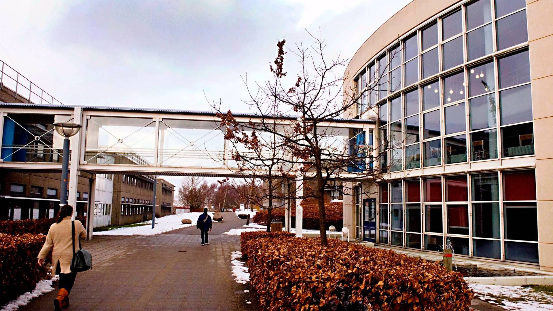 Roskilde Universitet er kommet med ny rapport om danskernes nyhedsvaner. | Foto: Jens Dige/Ritzau Scanpix