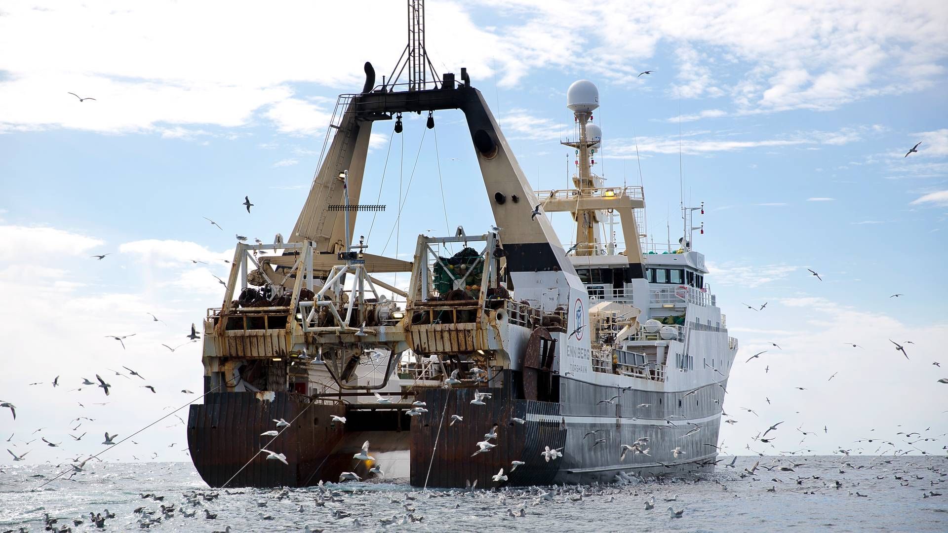 En regnefejl lavet af myndighederne har forårsaget, at store fiskerivirksomheder har fået ekstra kvoter - og flere end de i henhold til kvoteloftet har ret til. | Foto: Per Folkver/Ritzau Scanpix.