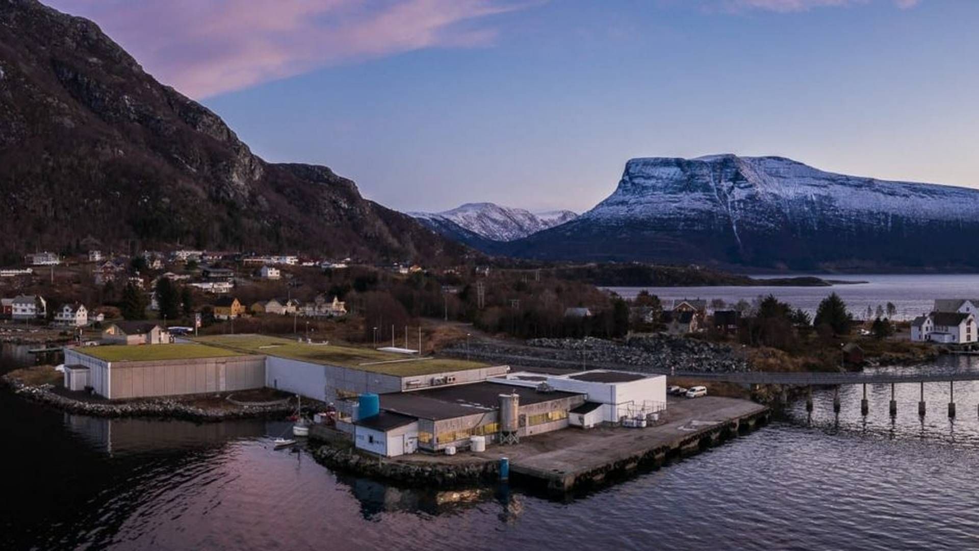 Romsdal Processing, som ble etablert i 2005 og ligger i sentrum av Midsund, produserer i hovedsak for Lerøy Seafood. | Foto: Romsdal Processing