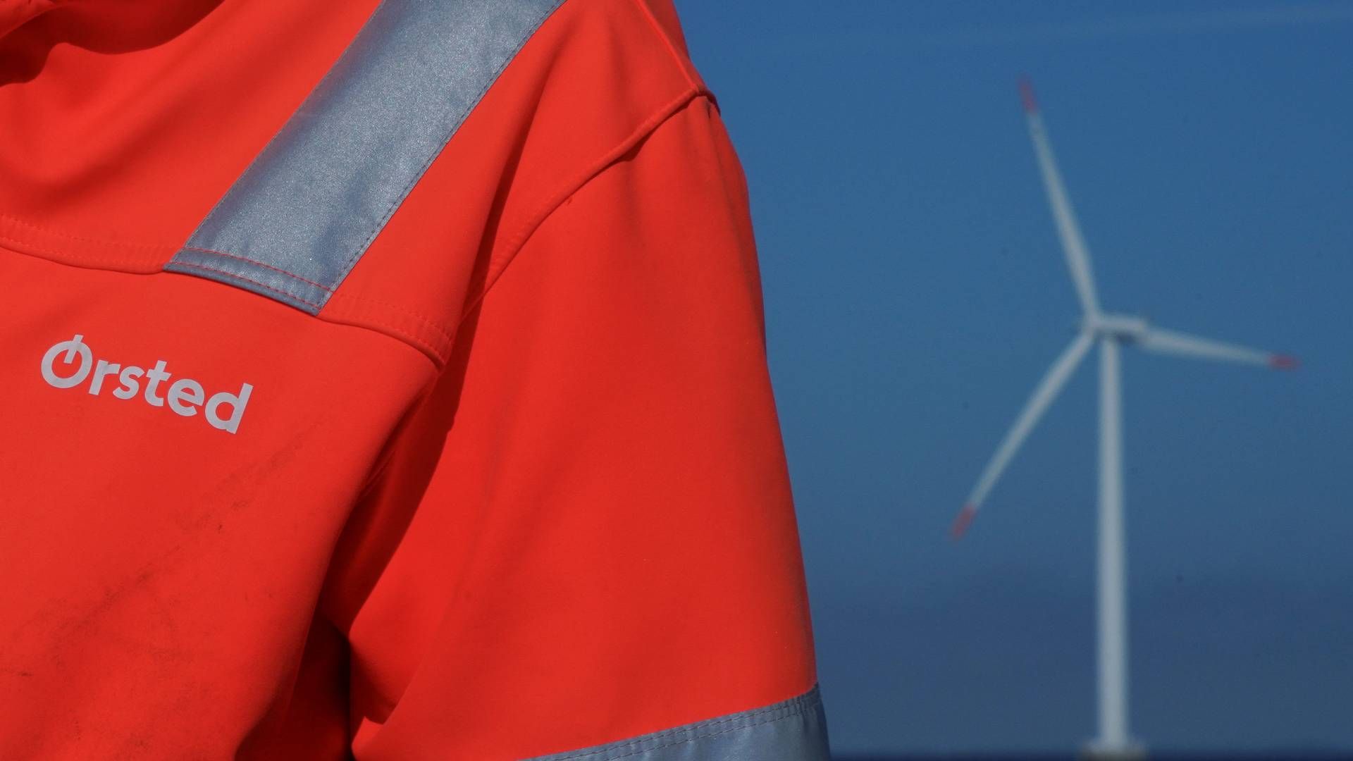 Kilderne beskriver, hvordan problemer opstod efter en tid med en masse nyansættelser, hvor afdelingernes organisation blev mere utydelig, hvorfor det krævede, at ledelsen strømlinede dem. | Foto: Tom Little/Reuters/Ritzau Scanpix