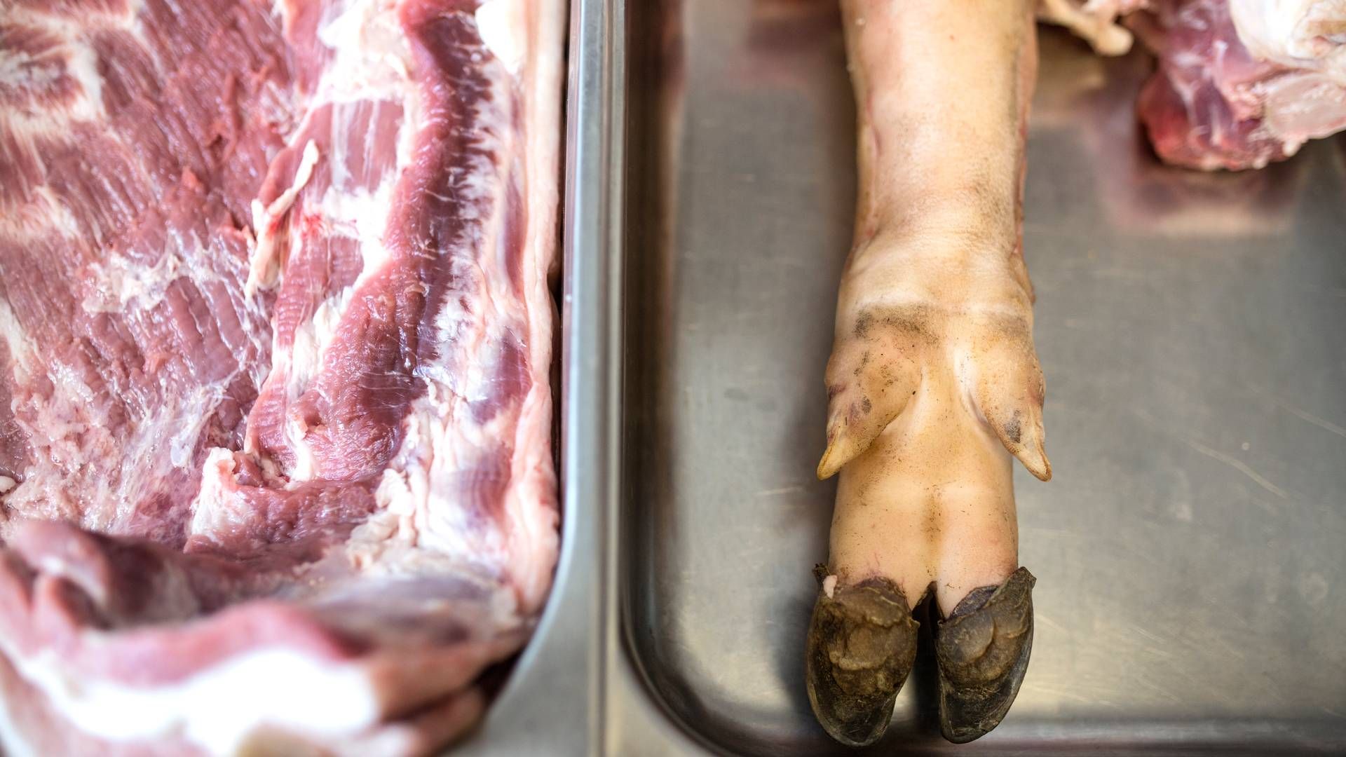 Kina modtager hvert år masser af biprodukter fra den danske slagterisektor såsom tæer og indvolde. | Foto: Ivan Boll