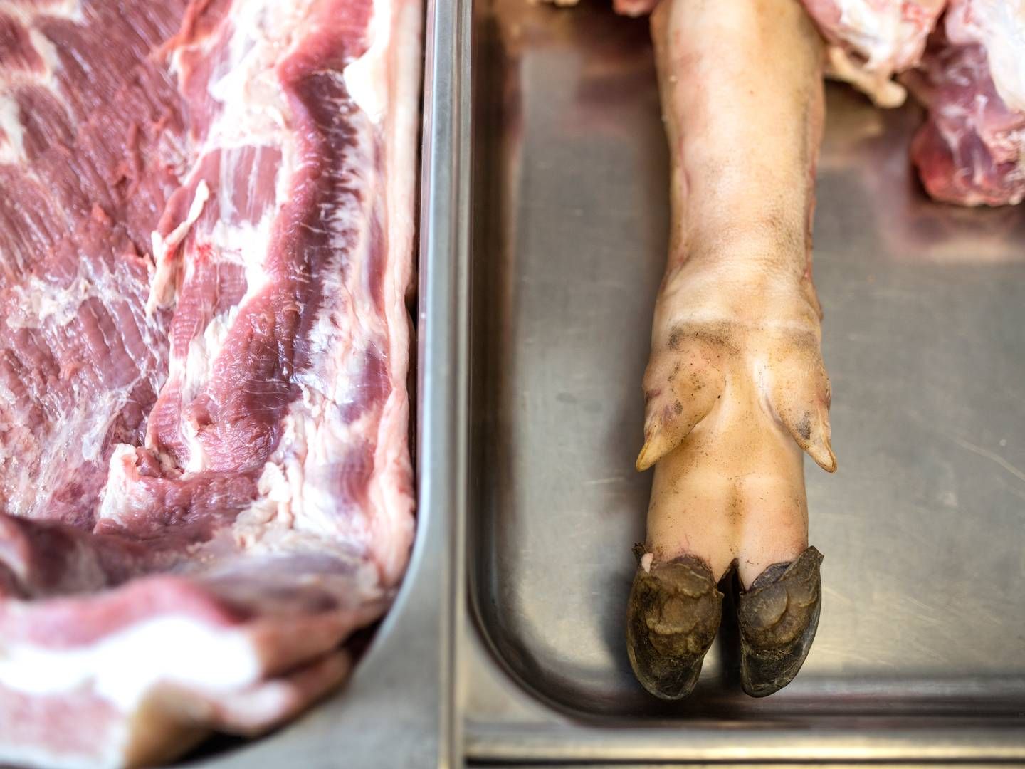 Kina modtager hvert år masser af biprodukter fra den danske slagterisektor såsom tæer og indvolde. | Foto: Ivan Boll