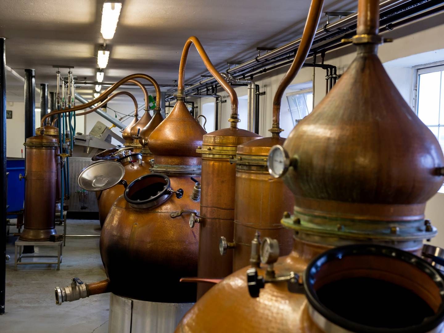 Stauning Whisky har foruden USA også Australien, Kina og flere andre asiatiske lande på listen over markeder, hvortil salget gerne skal vokse. | Foto: René Schütze/Ritzau Scanpix.