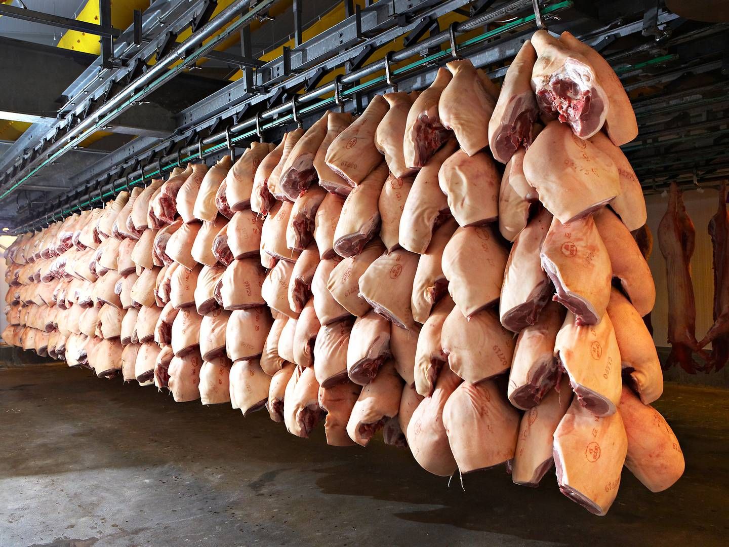 Det kinesiske marked aftager ca. 17 pct. af den samlede danske eksport af svinekød og biprodukter. | Foto: Pr / Tican