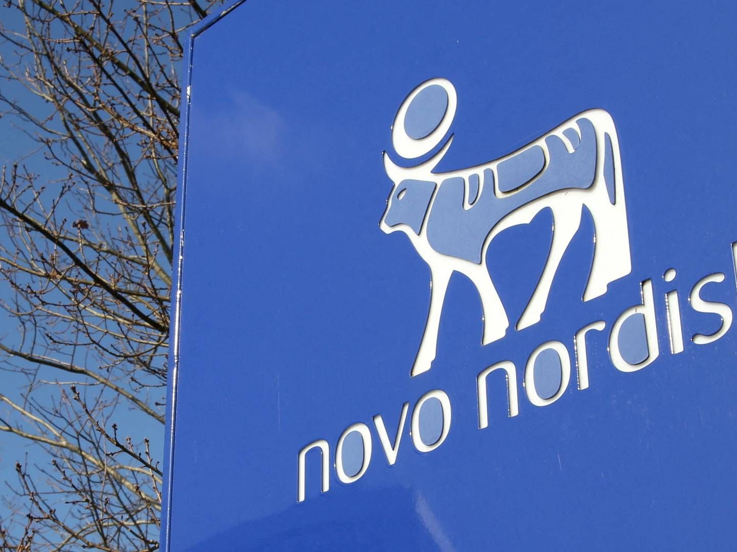 Novo Nordisk expects to be able to apply for Mim8 approval from relevant authorities by the end of 2024. | Foto: Tom Ittle/Reuters/Ritzau Scanpix