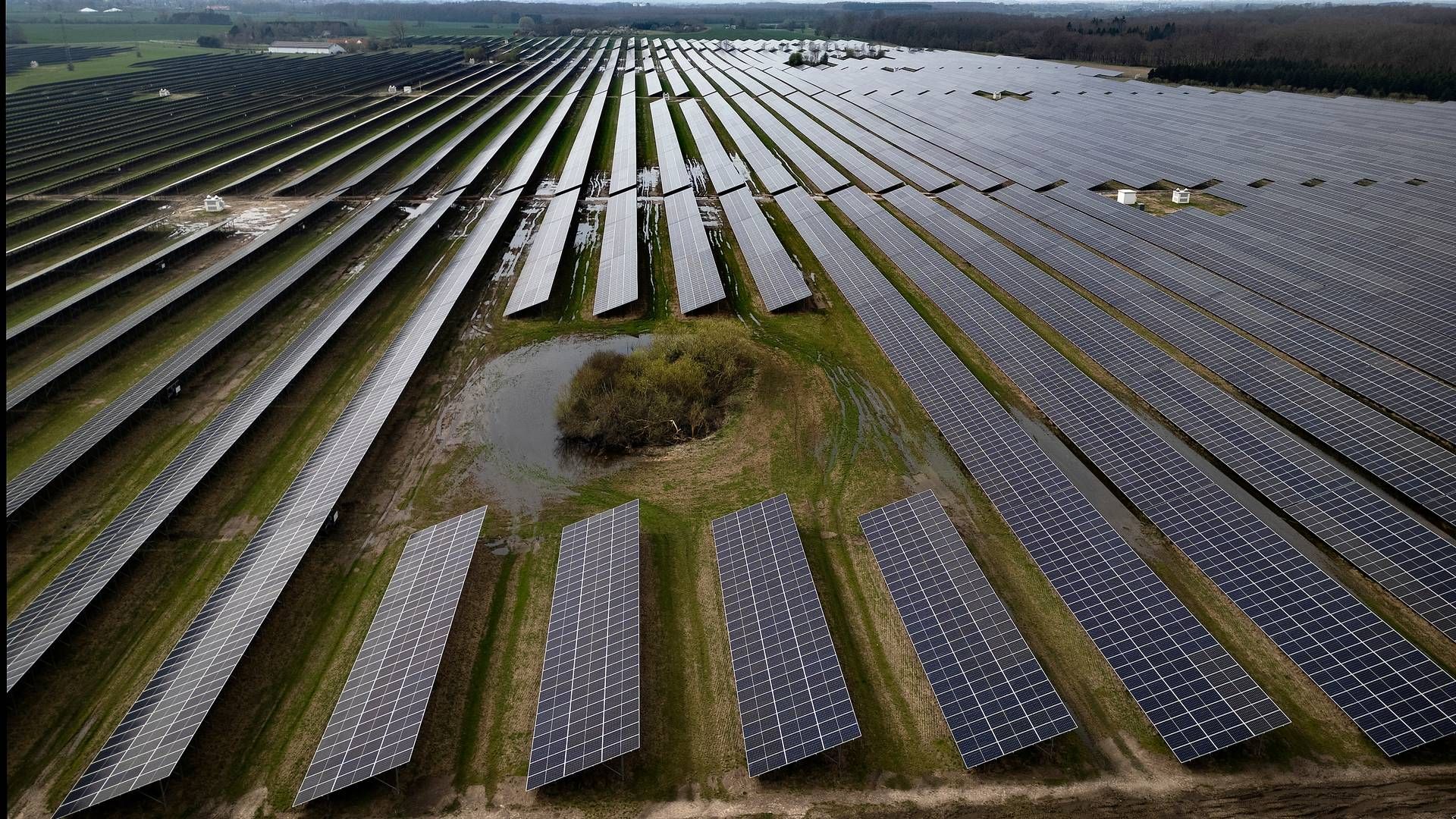 A solar power plant in Haslev, Denmark. | Photo: Finn Frandsen