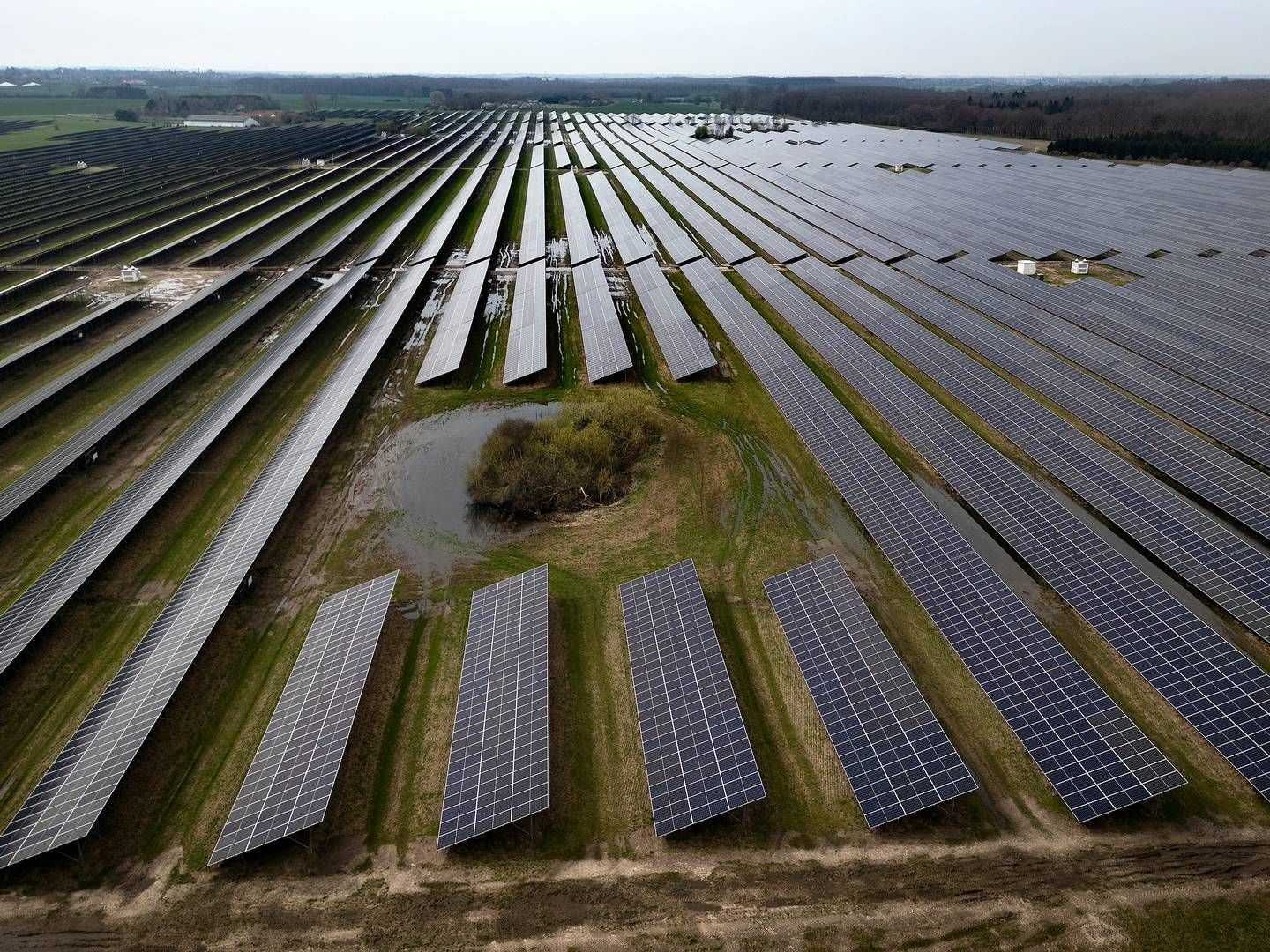 A solar power plant in Haslev, Denmark. | Foto: Finn Frandsen