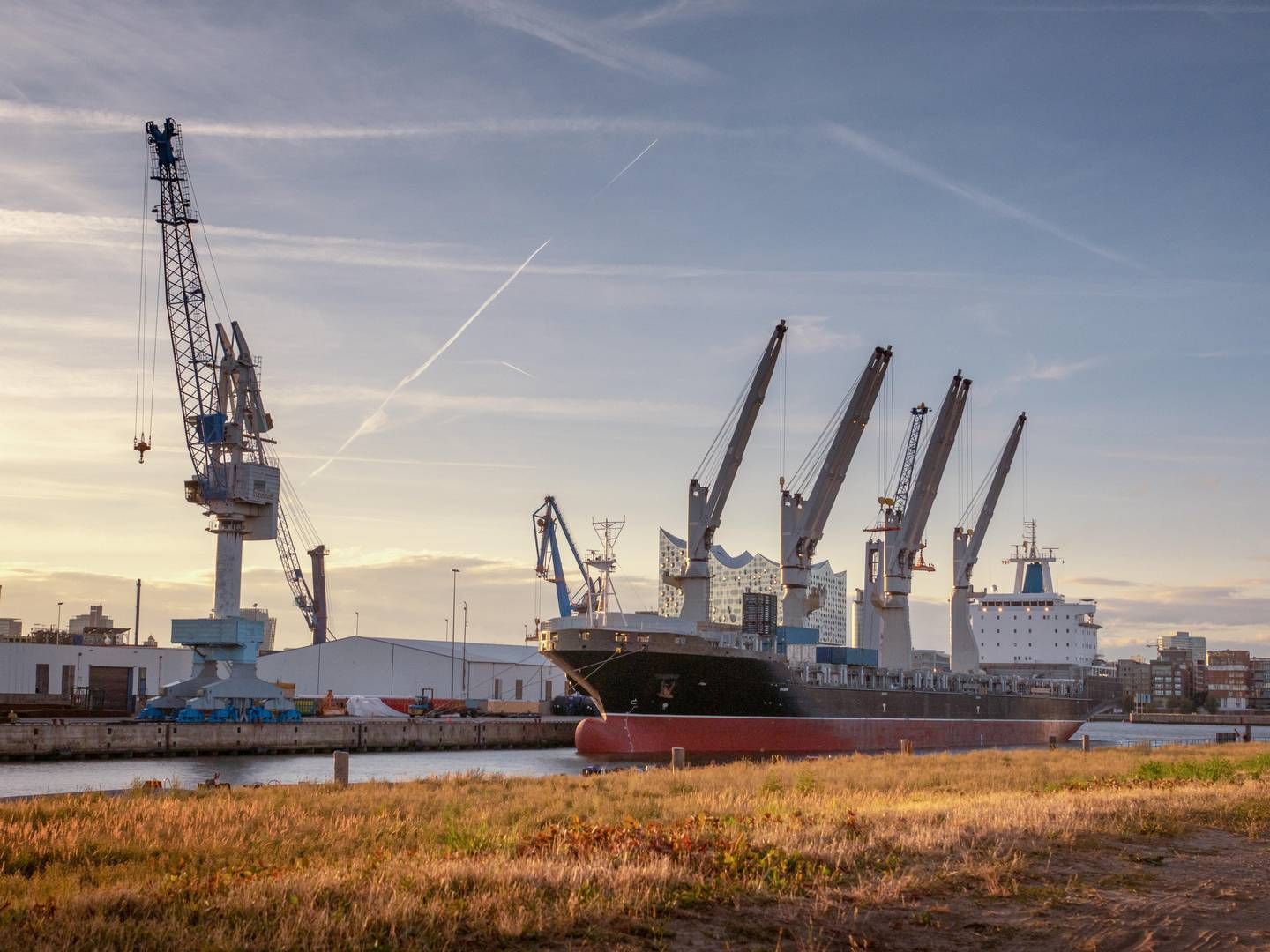 Containerschiff im Hamburger Hafen mit Elbphilharmonie im Hintergrund | Foto: picture alliance / Zoonar | Jonas Weinitschke