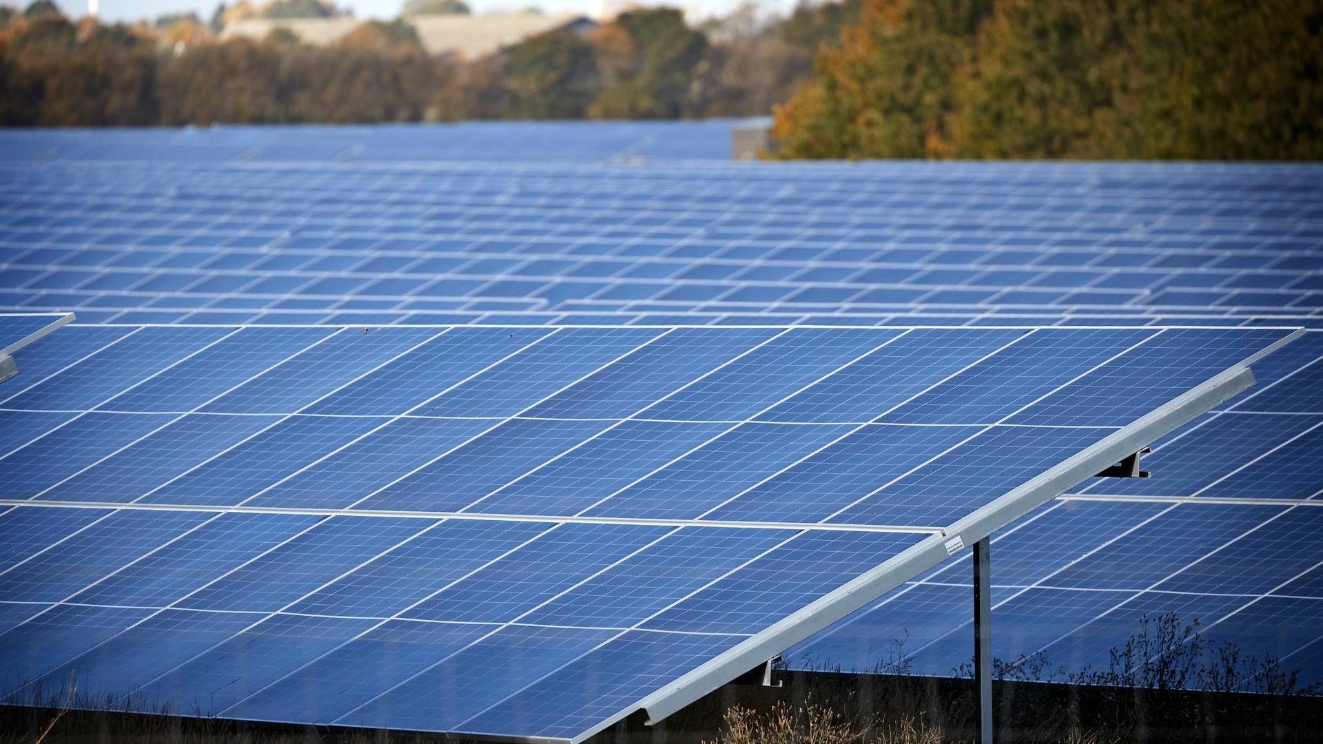 Omstillingen til grønne energiformer, såsom solceller, kræver forsikringsdækninger, som indtil for relativt nylig har været ukendte for forsikringssektoren, påpeger forsikringsmægler. | Foto: Jens Dresling
