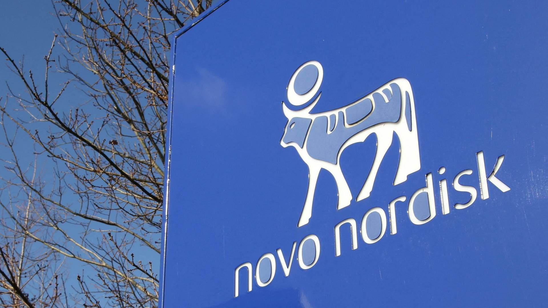 ANSETTELSESSTOPP: Novo Nordisk innfører ansettelsesstopp for å beskytte bedriftskulturen. | Foto: Tom Little