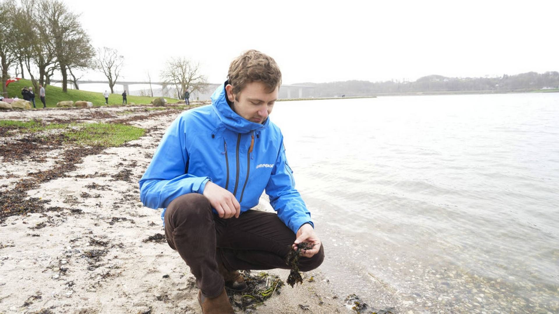 Christian Fromberg er kampagneleder for landbrug, natur, og skov i Greenpeace. Her fotograferet i april, hvor Greenpeace holdt begravelse over Vejle Fjord, hvor havmiljøet har det rigtig skidt. (arkivfoto) | Foto: Claus Fisker / Ritzau Scanpix