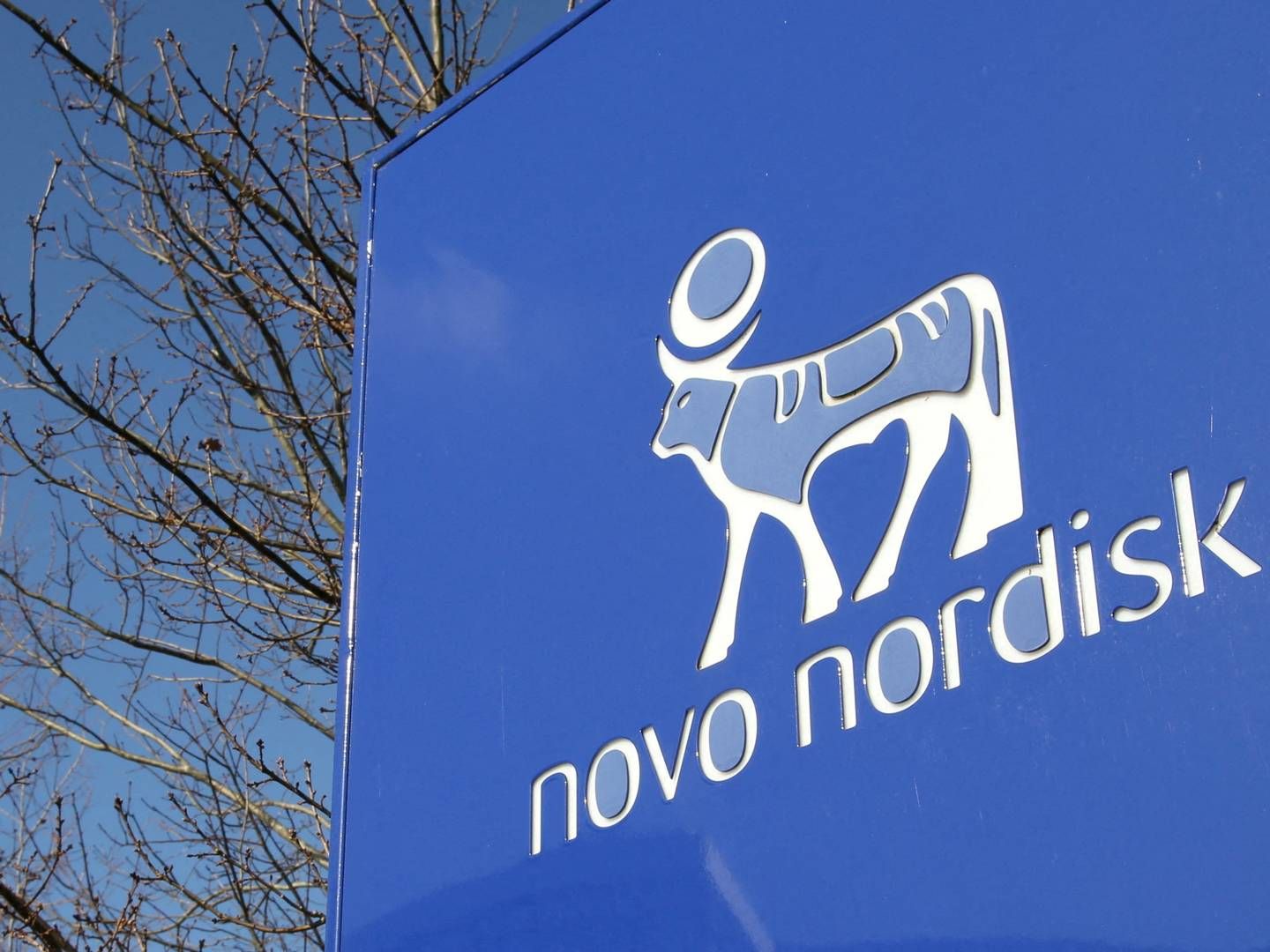 VIL ØKE KAPASITETEN: Novo Nordisk skalerer opp produksjonen ved selskapets anlegg i Clayton, USA. | Foto: TOM ITTLE/REUTERS / REUTERS