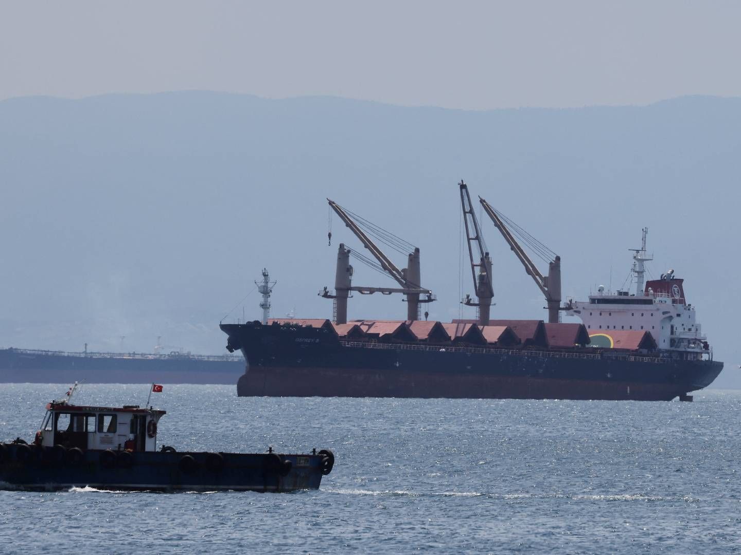 Cargo ships in Turkey. Archive photo not related to Delta Corp or Coffee Holding. | Foto: Umit Bektas/Reuters/Ritzau Scanpix