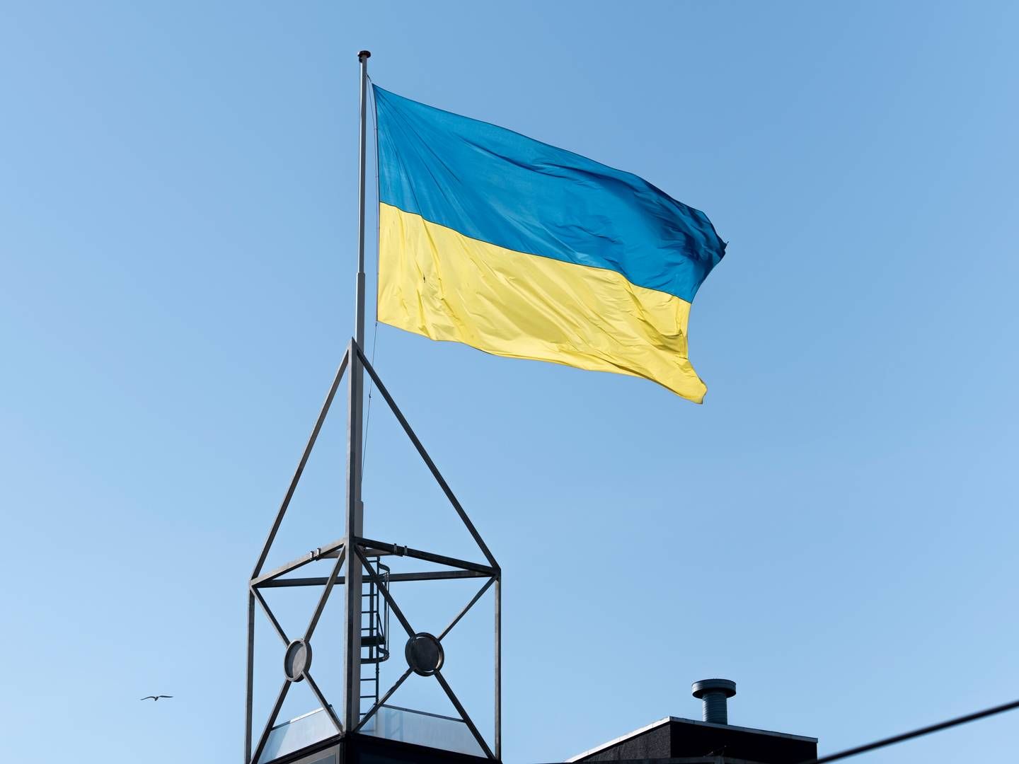Sagen var anlagt af Ukraine, som har anklaget Rusland for at krænke Den Europæiske Menneskerettighedskonvention. | Foto: Rikke Kjær Poulsen