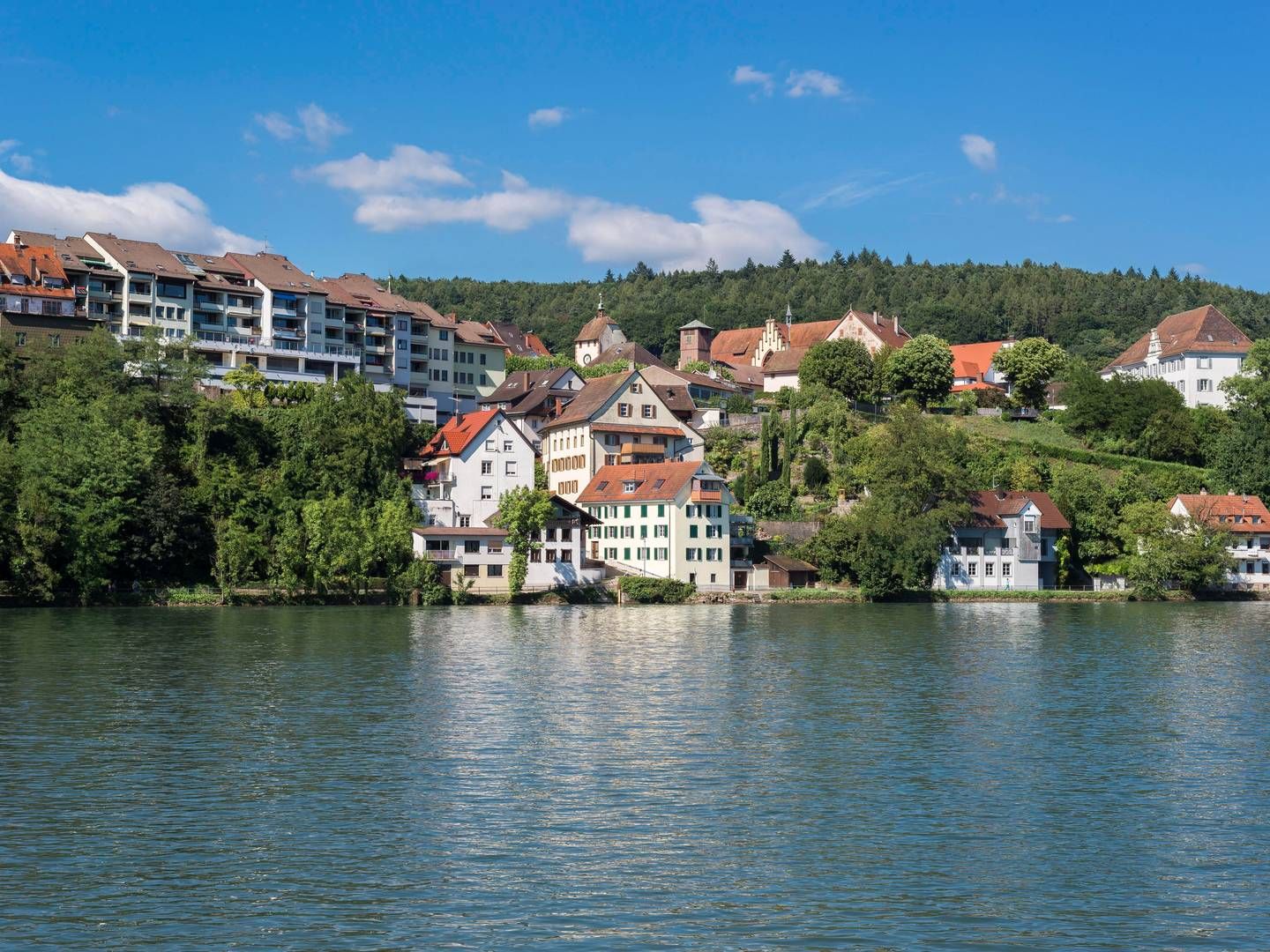 Die Stadt Waldshut vom Schweizer Rheinufer aus gesehen | Foto: picture alliance / imageBROKER | Harald Wenzel-Orf