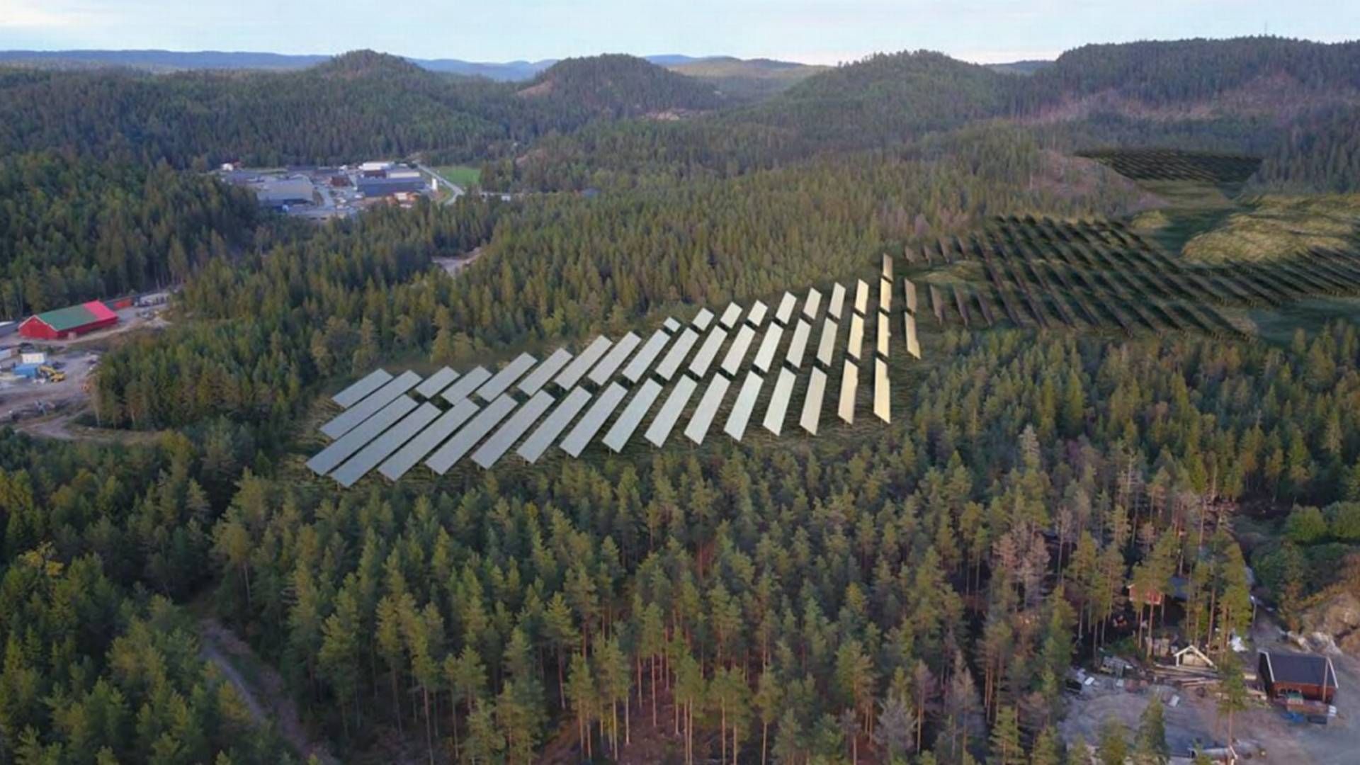 Birkeland solkraftverk i Agder er blant anleggene med rykende fersk konsesjon. | Foto: Birkeland solpark