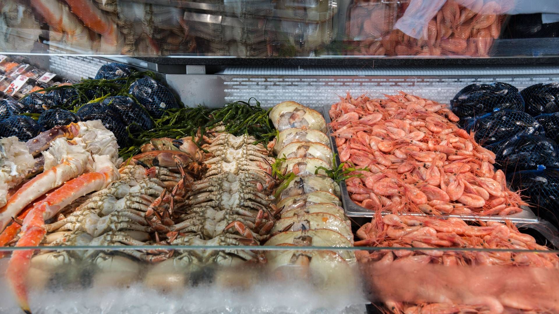 Erko Seafood økte inntektene betraktelig i 2023. | Foto: Mariam Butt/NTB