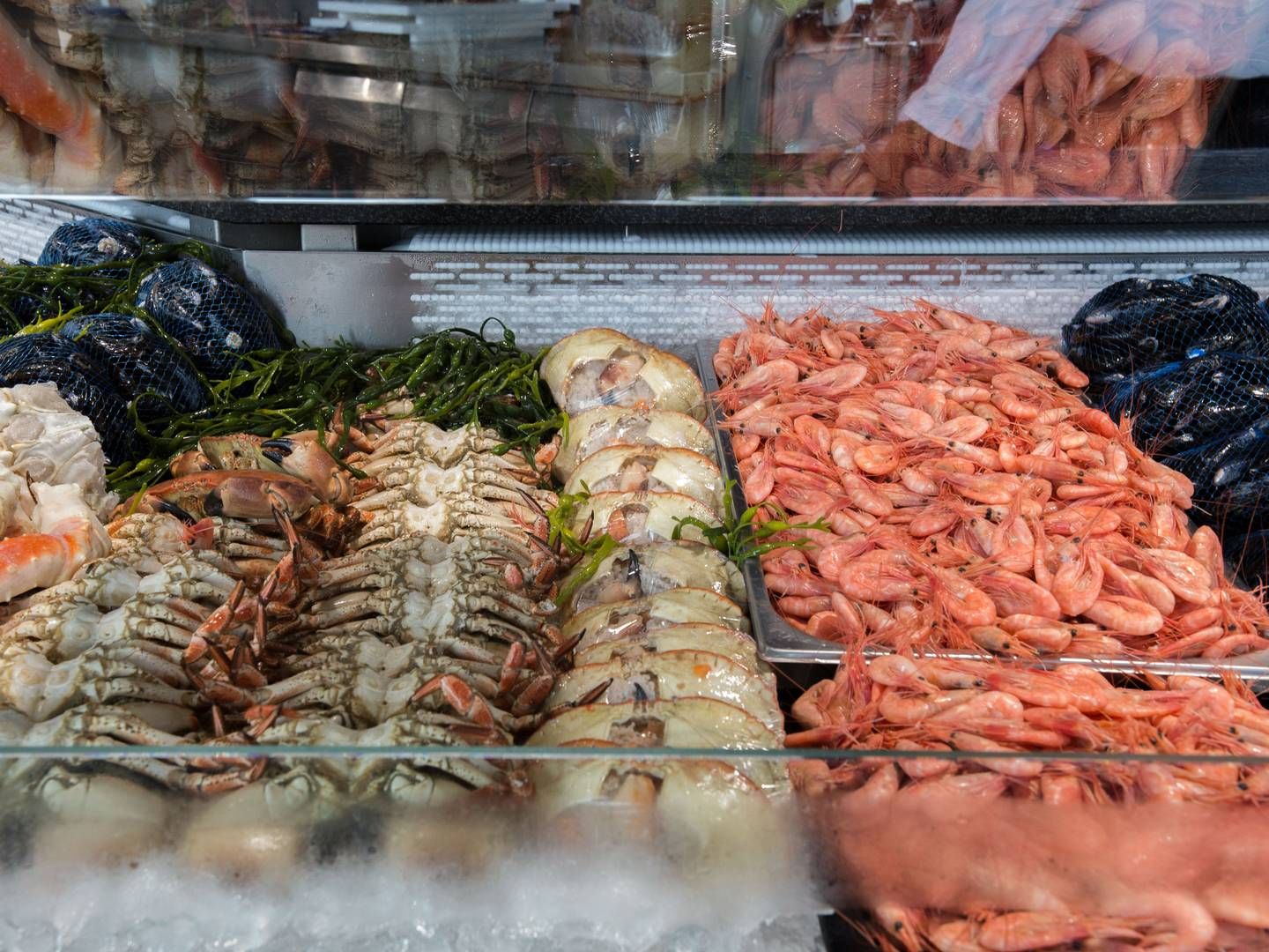 Erko Seafood økte inntektene betraktelig i 2023. | Photo: Mariam Butt/NTB
