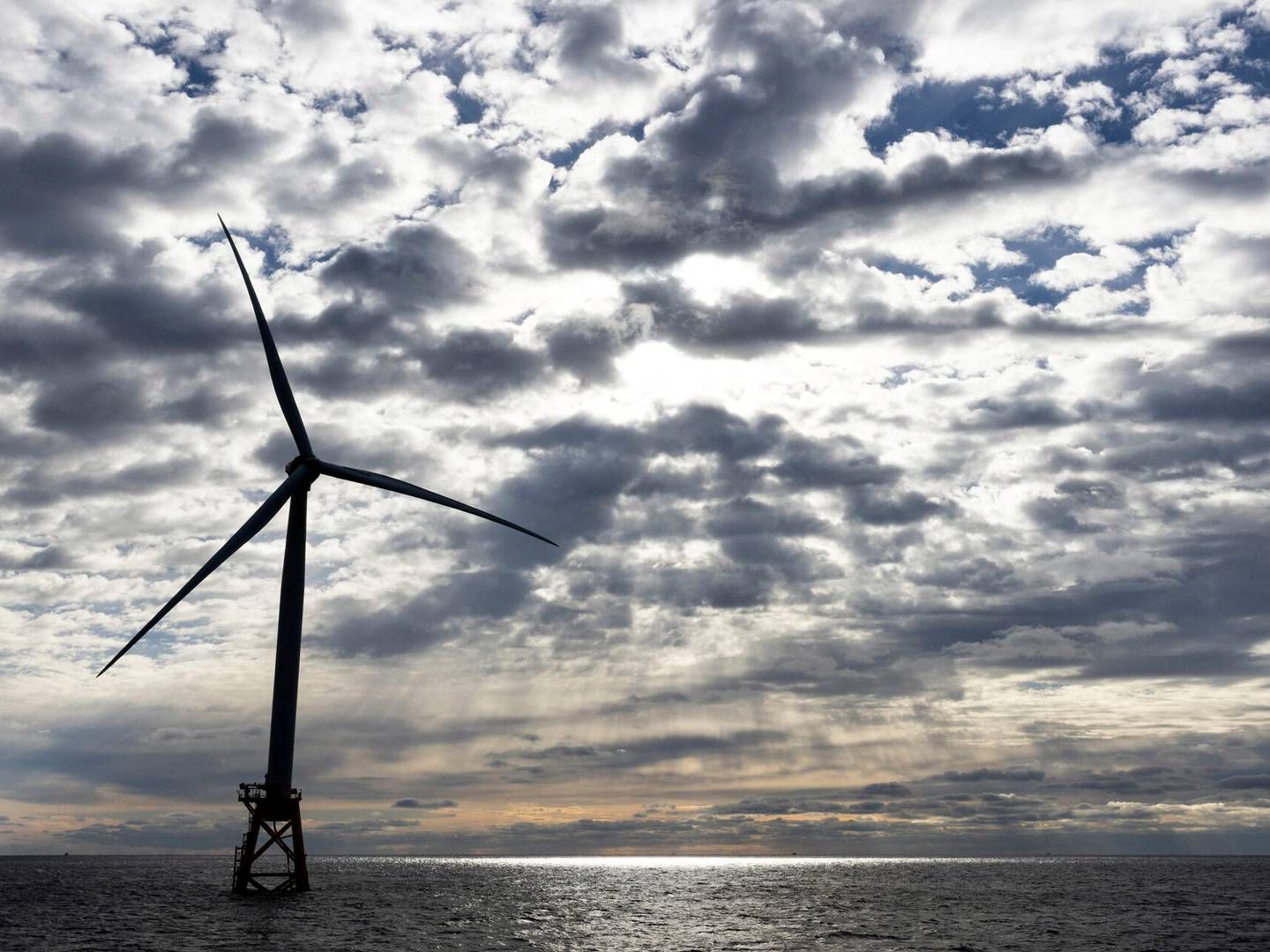 Nu afventer en række mindre godkendelser, før vindmølleparkerne bliver til virkelighed. | Photo: Julia Nikhinson/AP/Ritzau Scanpix