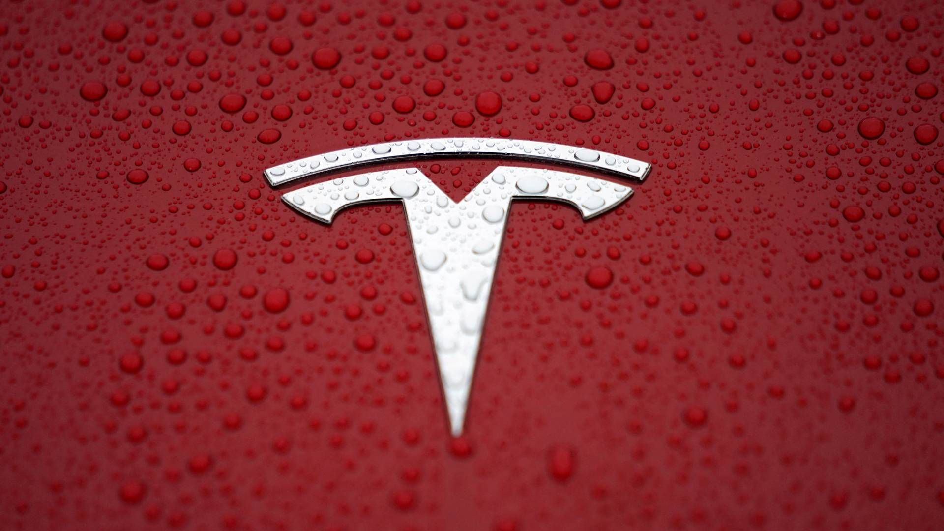 Tesla leverede i andet kvartal 443.956 køretøjer | Foto: Aly Song/Reuters/Ritzau Scanpix