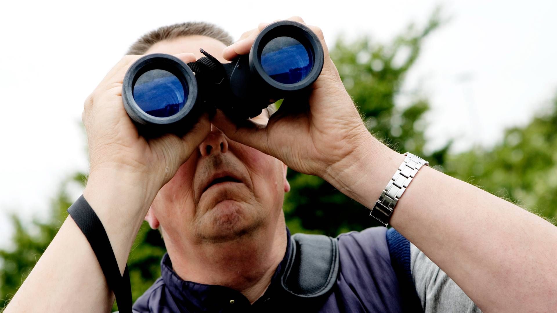 A Nordic investor is on the lookout for one or more equity managers. | Photo: Thomas Borberg/Politiken/Ritzau Scanpix
