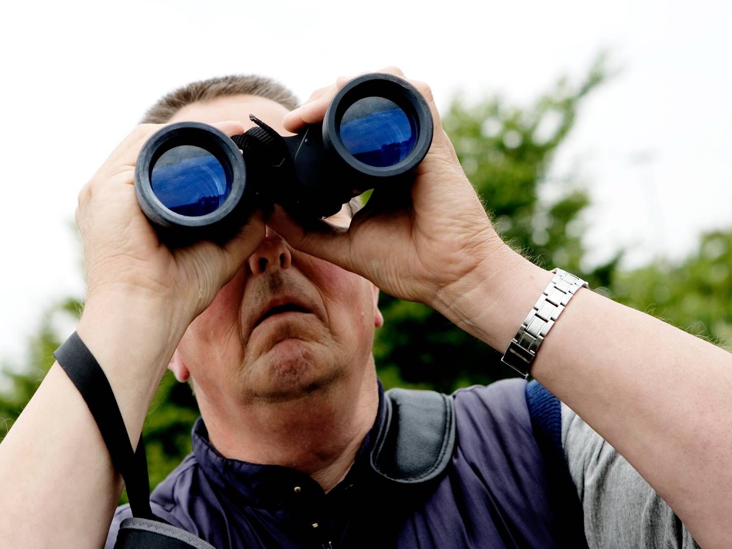 A Nordic investor is on the lookout for one or more equity managers. | Foto: Thomas Borberg/Politiken/Ritzau Scanpix