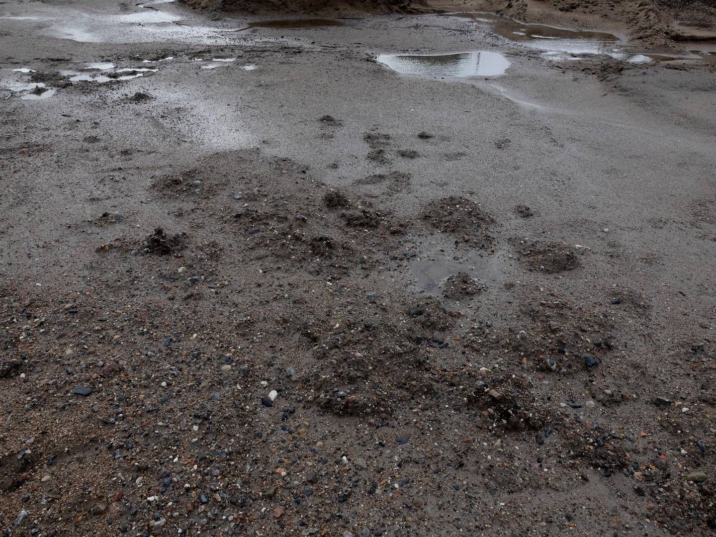 Tilførsel af jord frygtes at lede til forurening i Borup nær Køge. | Foto: Thomas Borberg