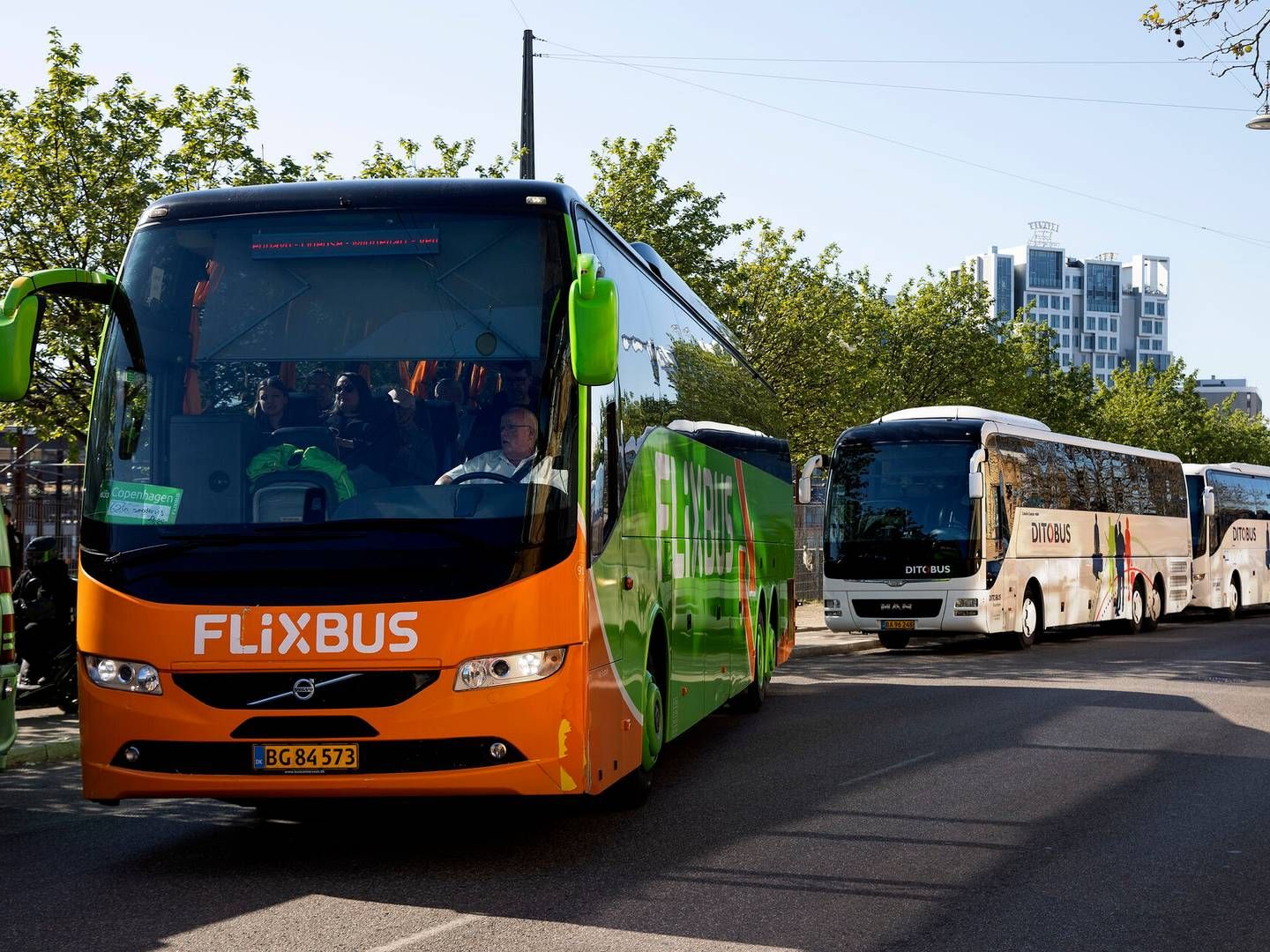 Tyske Flixbus kører i dag i 30 lande. | Photo: Finn Frandsen/Ritzau Scanpix
