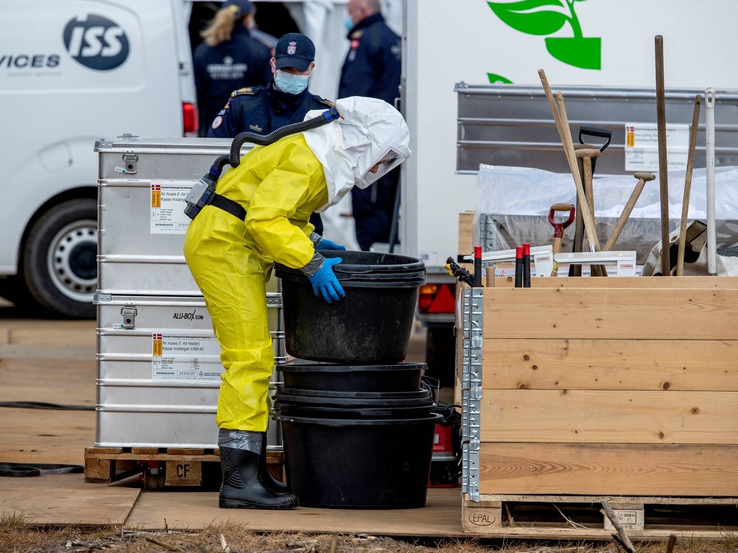 I slutningen af marts fandt man de første tilfælde af fugleinfluenza blandt amerikanske malkekøer. | Foto: René Schütze
