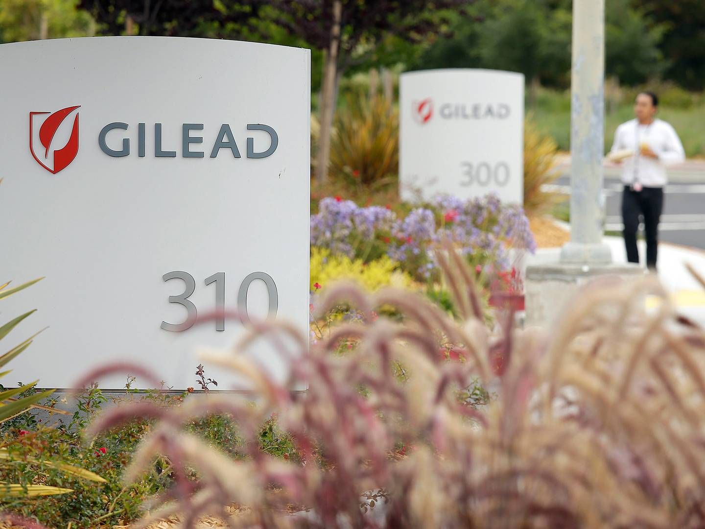 JAKT: Nå må Gilead Sciences finne en ny medisinsk direktør, og leter nå etter aktuelle kandidater. | Foto: AP Photo/Eric Risberg, File