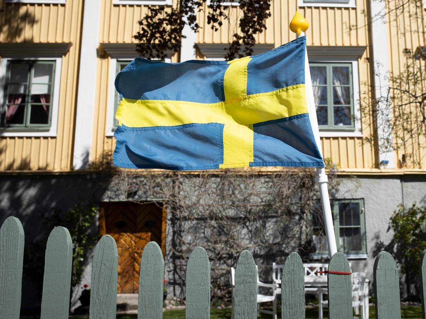 Den svenske dommer har tilstået overtrædelse af knivlov. | Foto: Miriam Dalsgaard